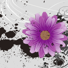 Картинка векторная графика лепестки цветы