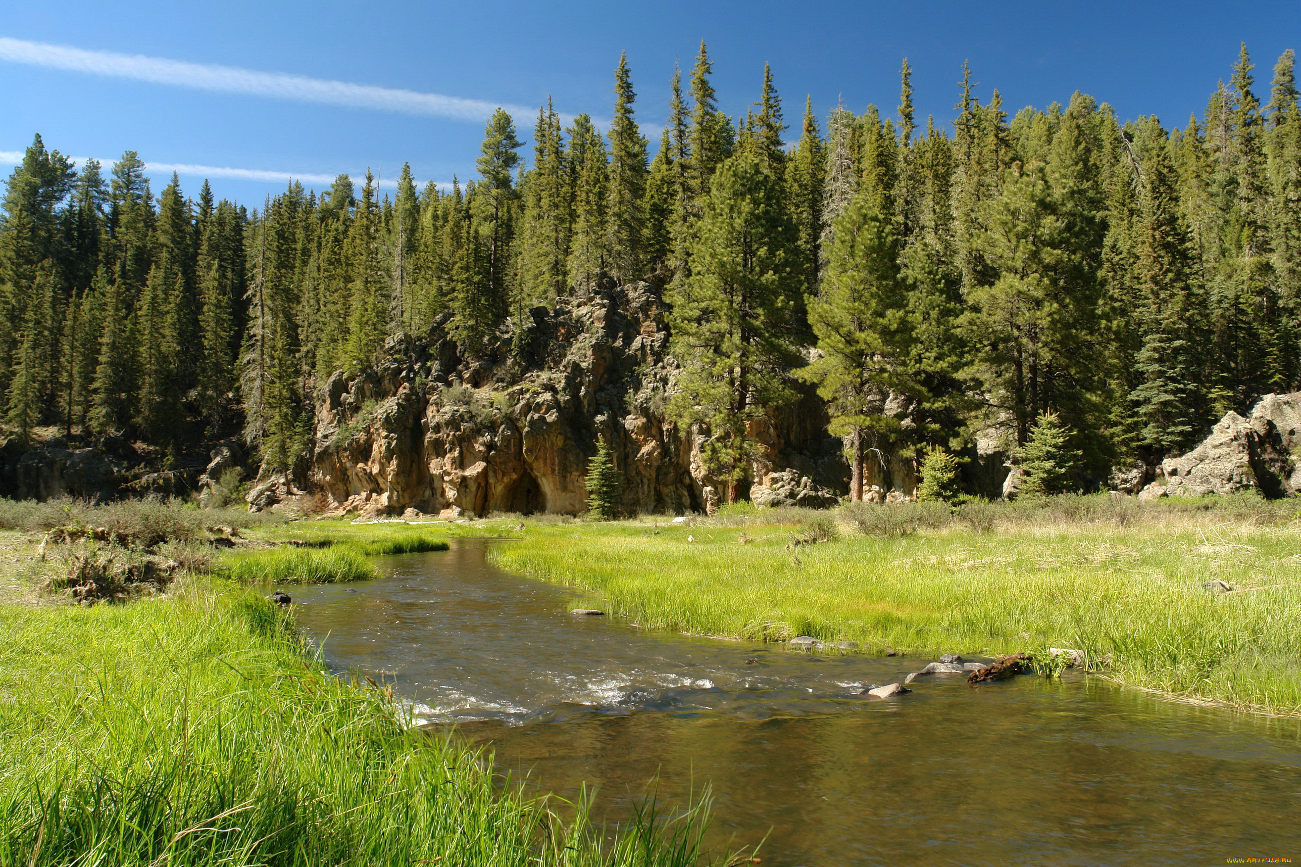 great, basin, national, park, невада, природа, реки, озера, лес, ручей