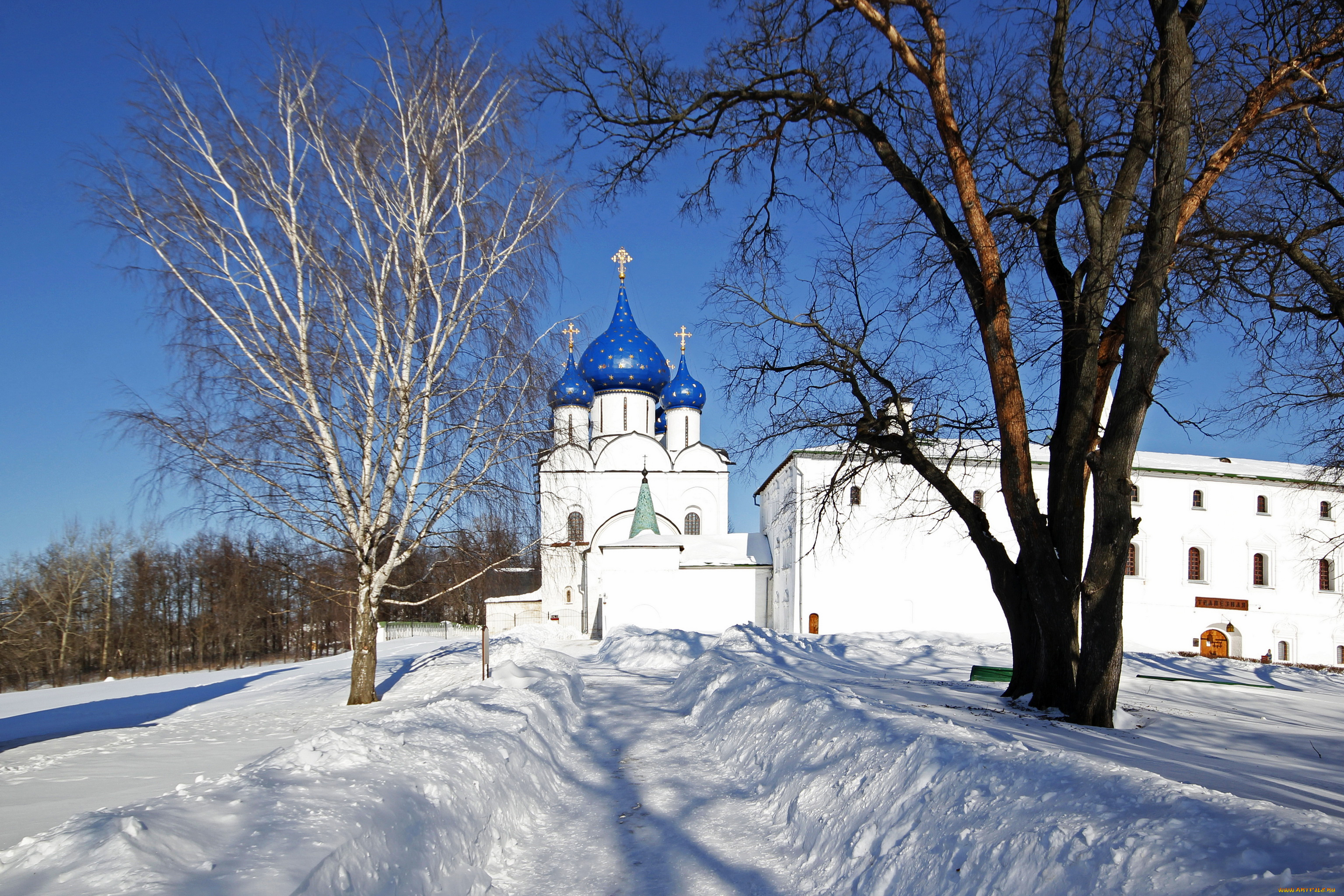 суздаль, монастырь, города, православные, церкви, монастыри