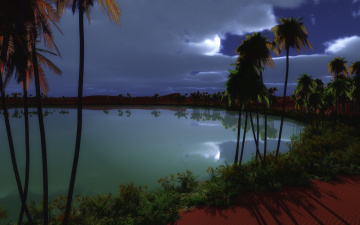 Картинка 3д графика nature landscape природа пальмы вода