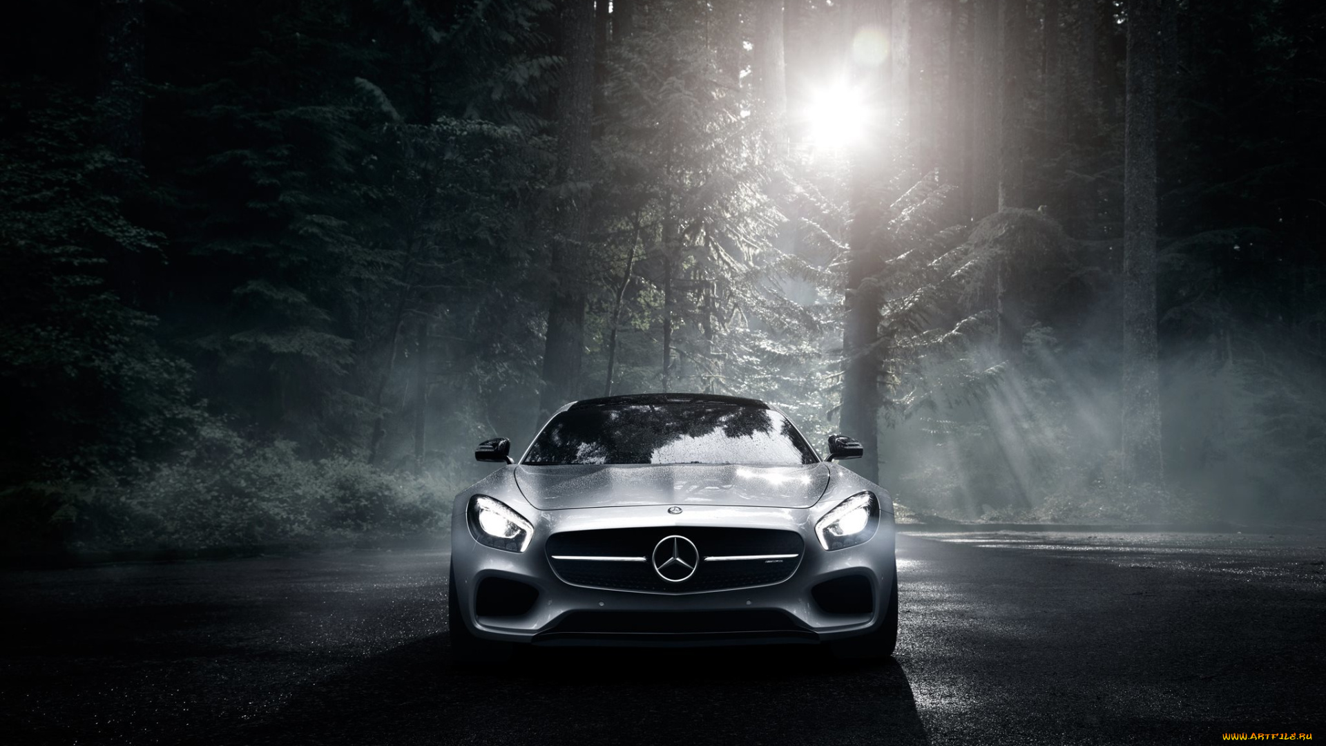 автомобили, mercedes-benz, gt, s, color, amg, silver, 2016, sun, dark, forest, front