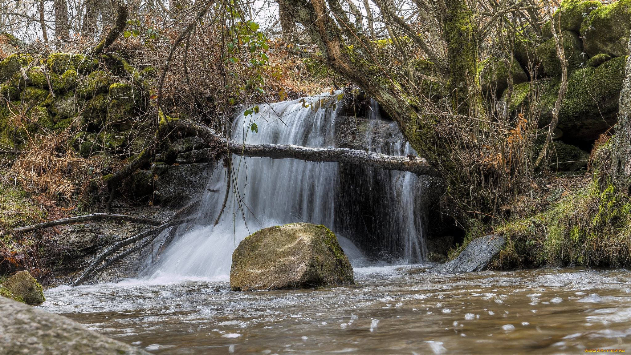 природа, водопады, водопад, река, лес