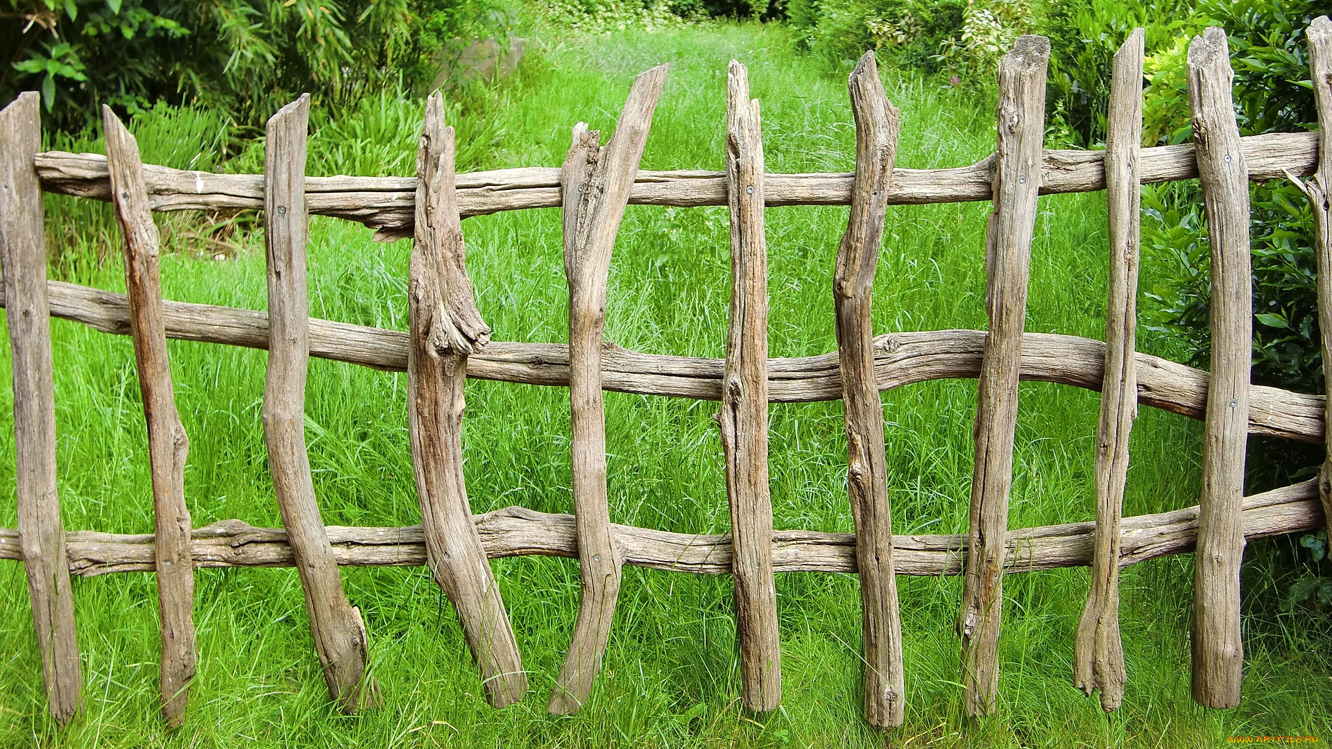 Сделать забор ключ цены. Деревянный забор. Деревянный забор для дачи. Красивые заборы для дачи. Деревянный забор для дачи своими руками.