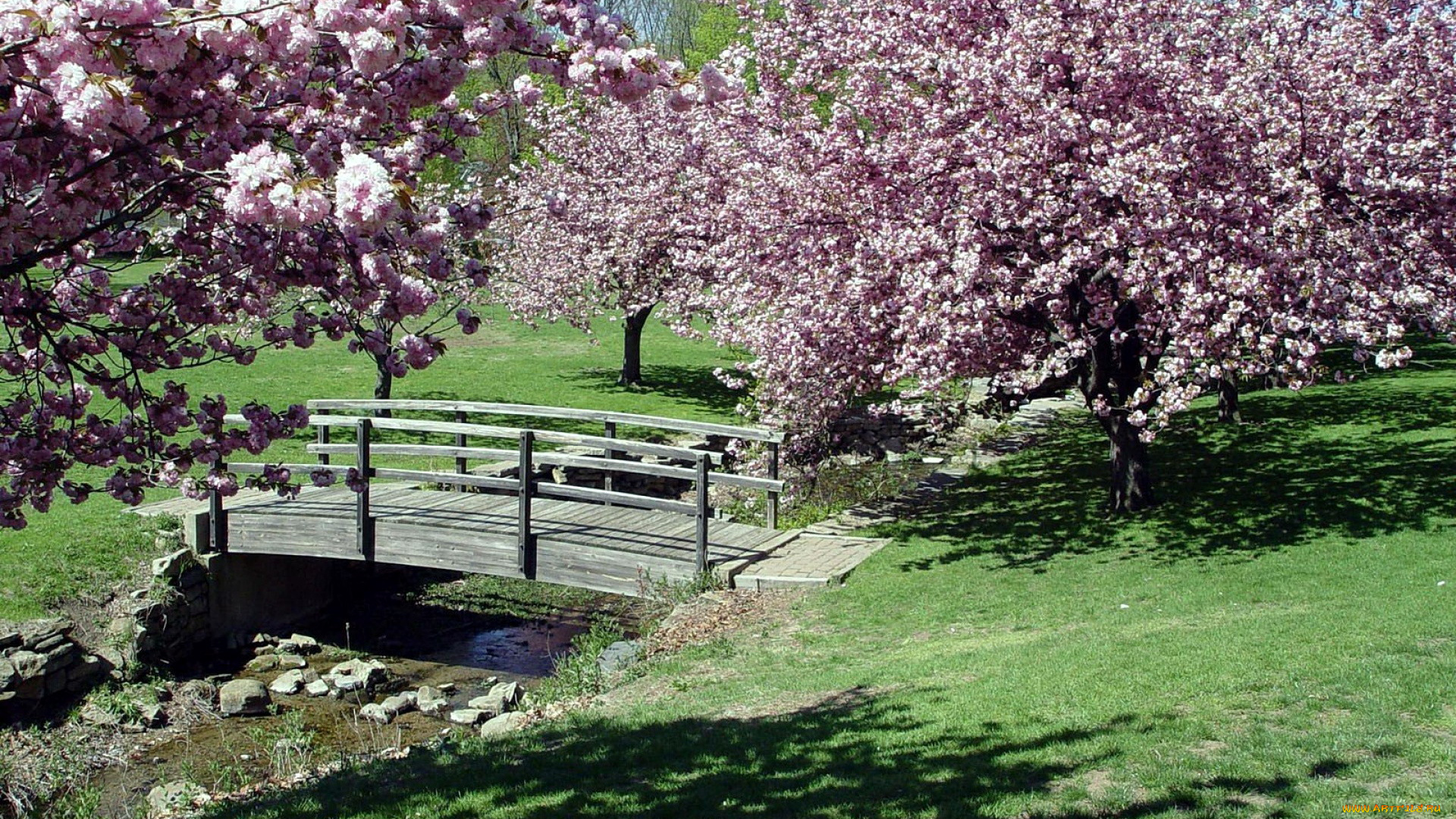 природа, парк, весна, мостик
