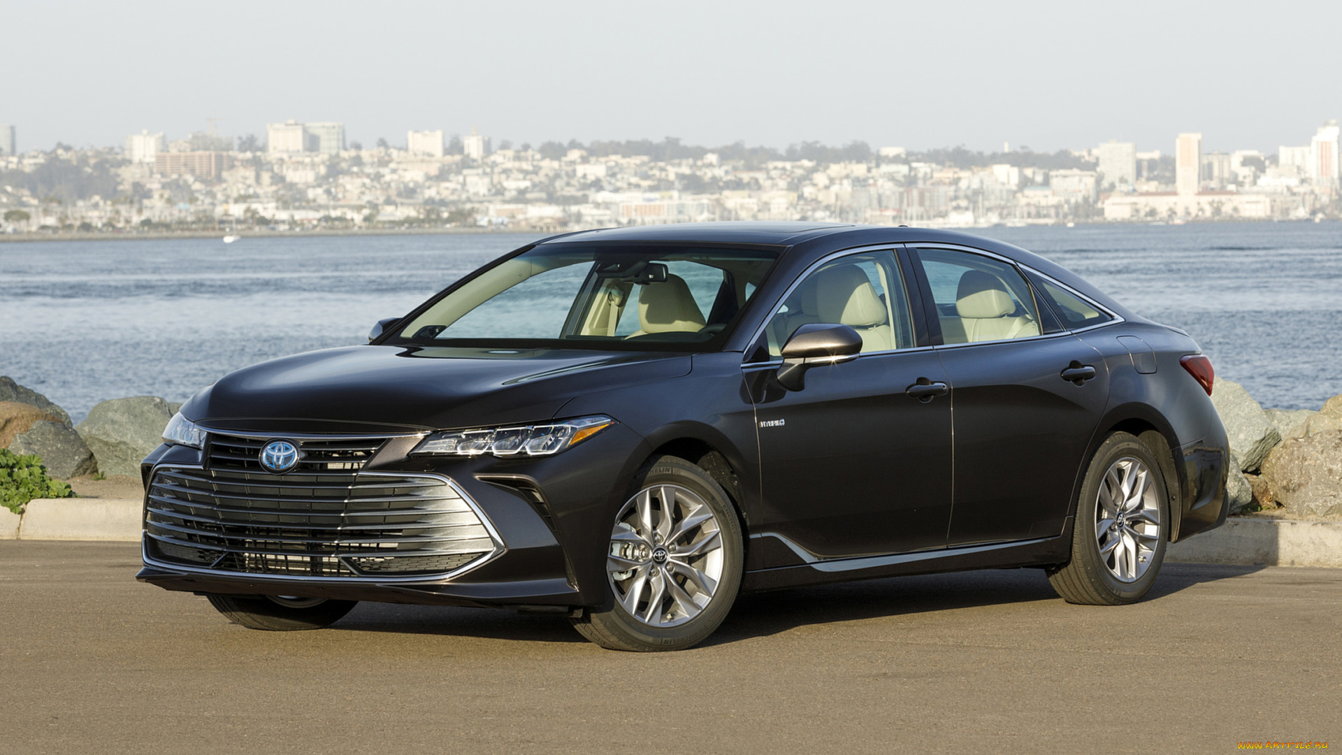 toyota, avalon, hybrid, xle, 2019, автомобили, toyota, xle, hybrid, avalon, 2019, чёрный