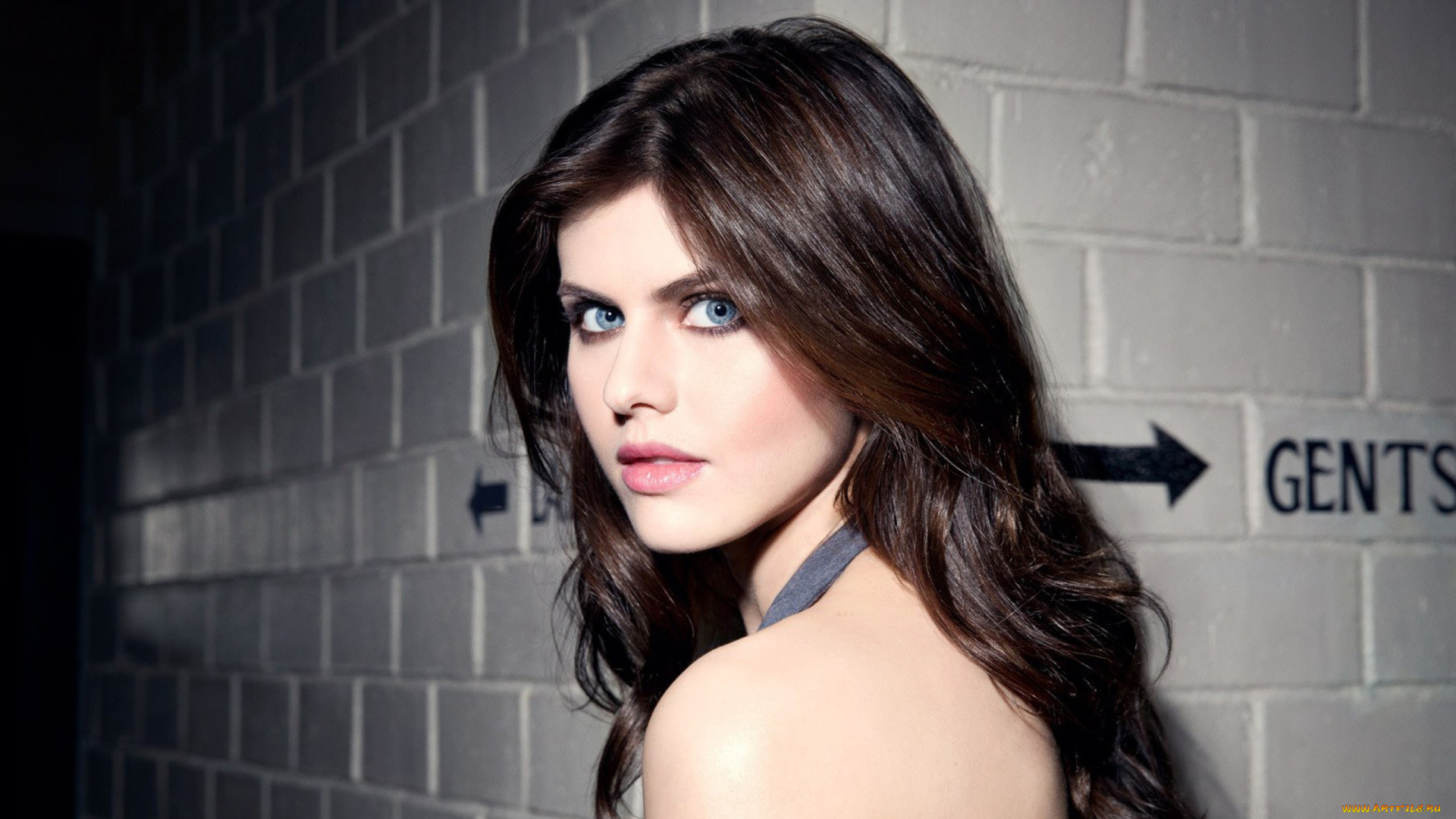 alexandra, daddario, девушки, alexandra, daddario, девушка, актриса, брюнетка, поза, взгляд, красотка, стройная, сексуальная, портрет, лицо, причёска, макияж