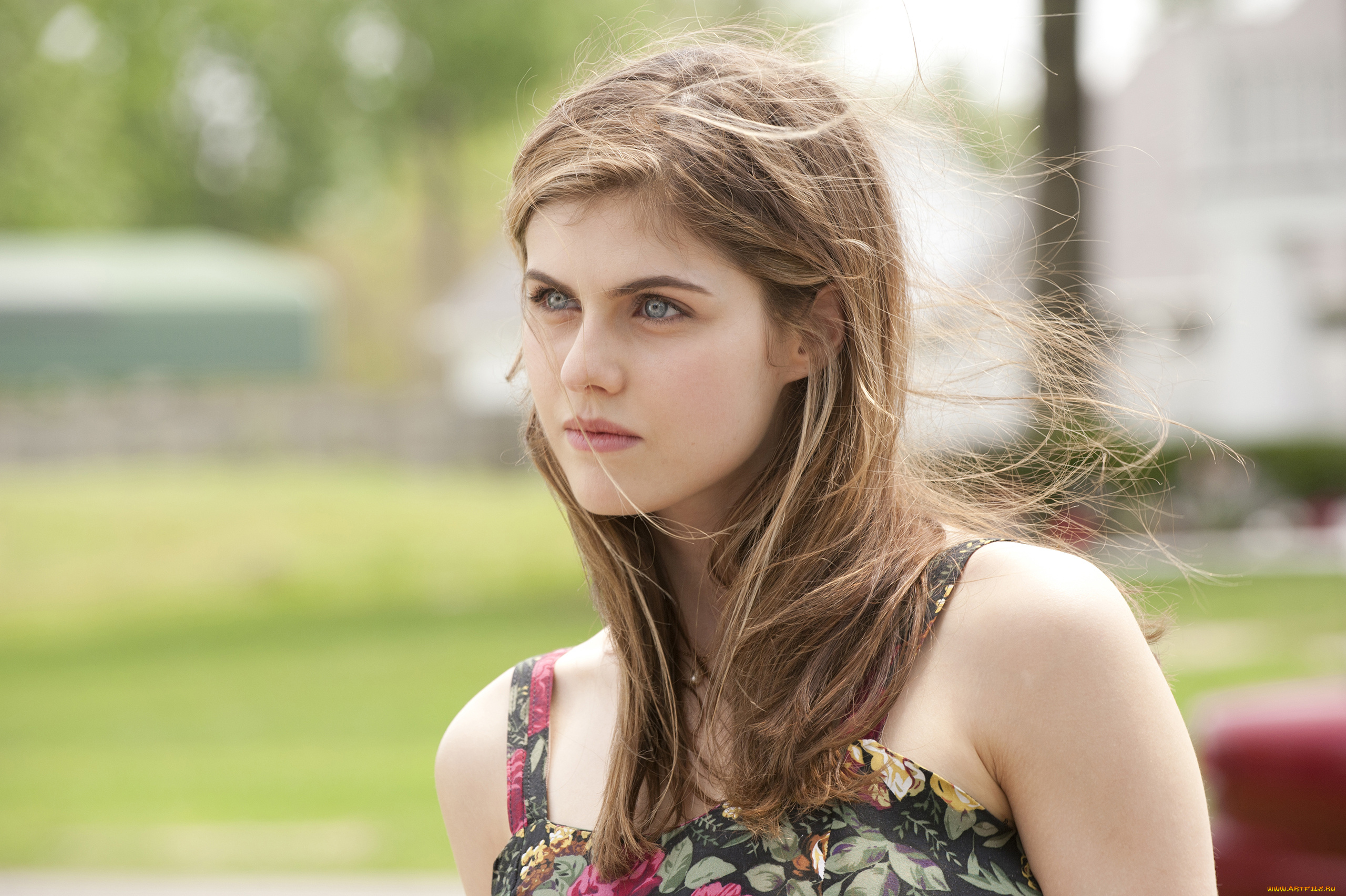 alexandra, daddario, девушки, alexandra, daddario, девушка, актриса, брюнетка, поза, взгляд, красотка, стройная, сексуальная, портрет, лицо, причёска, макияж