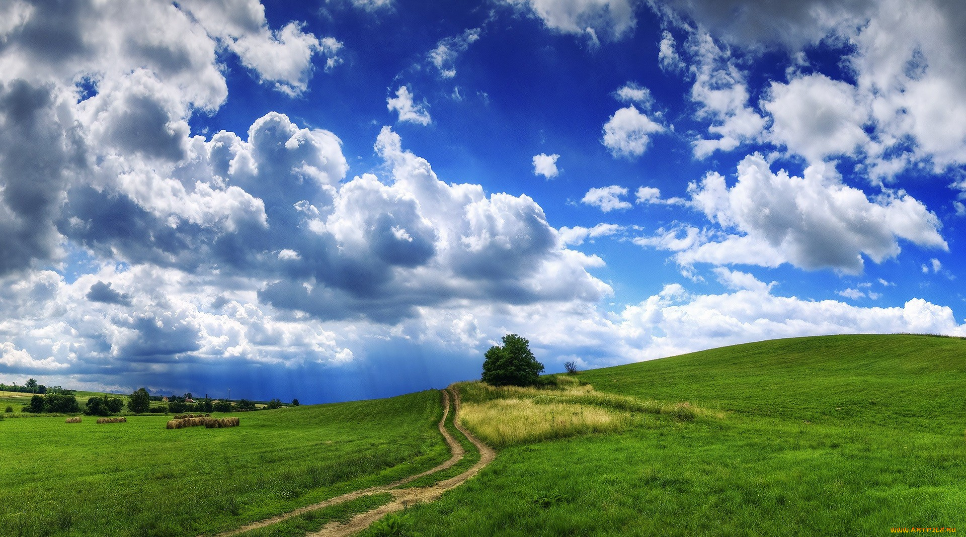 природа, поля, небо, облака, дерево