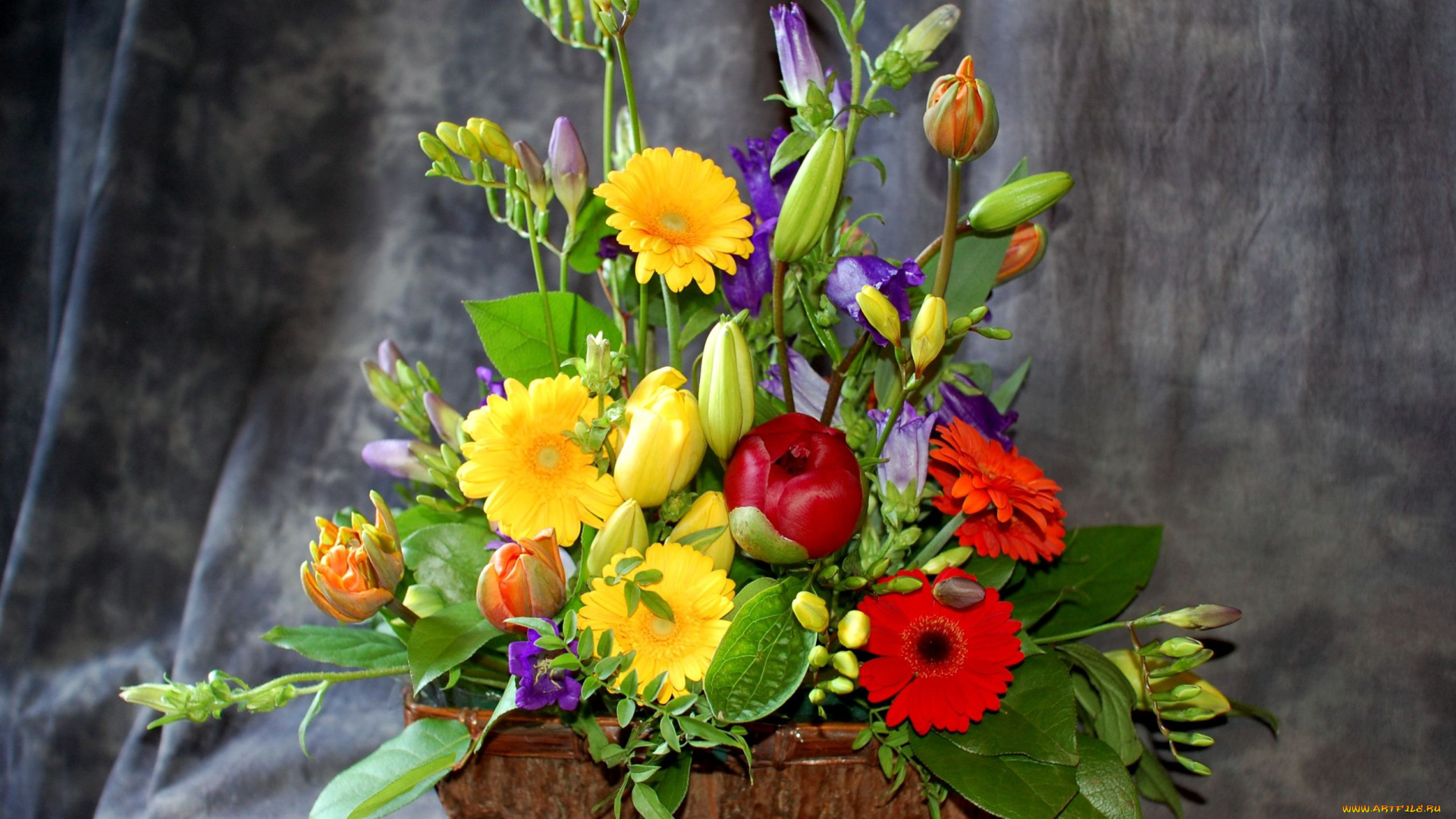 цветы, букеты, композиции, пион, тюльпаны, колокольчики, герберы