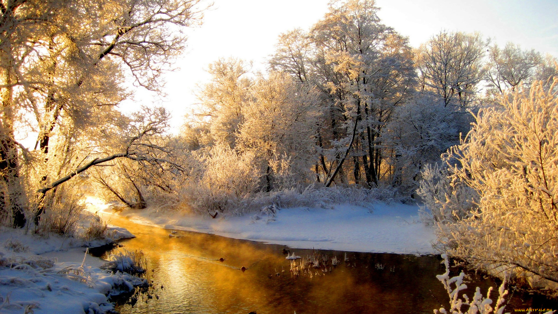 зимняя, сказка, природа, зима, речка, лес, утро