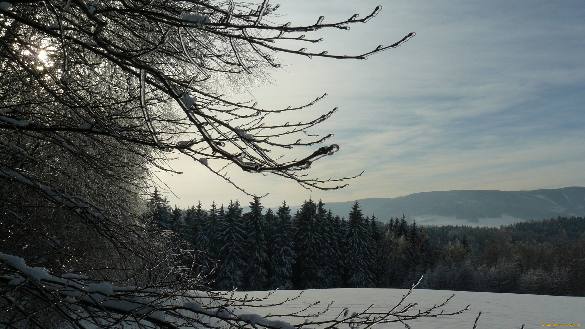 природа, зима, гора, деревья, снег