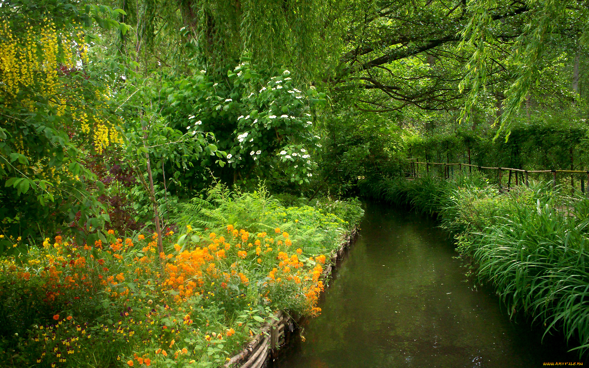 природа, парк, цветы, канал