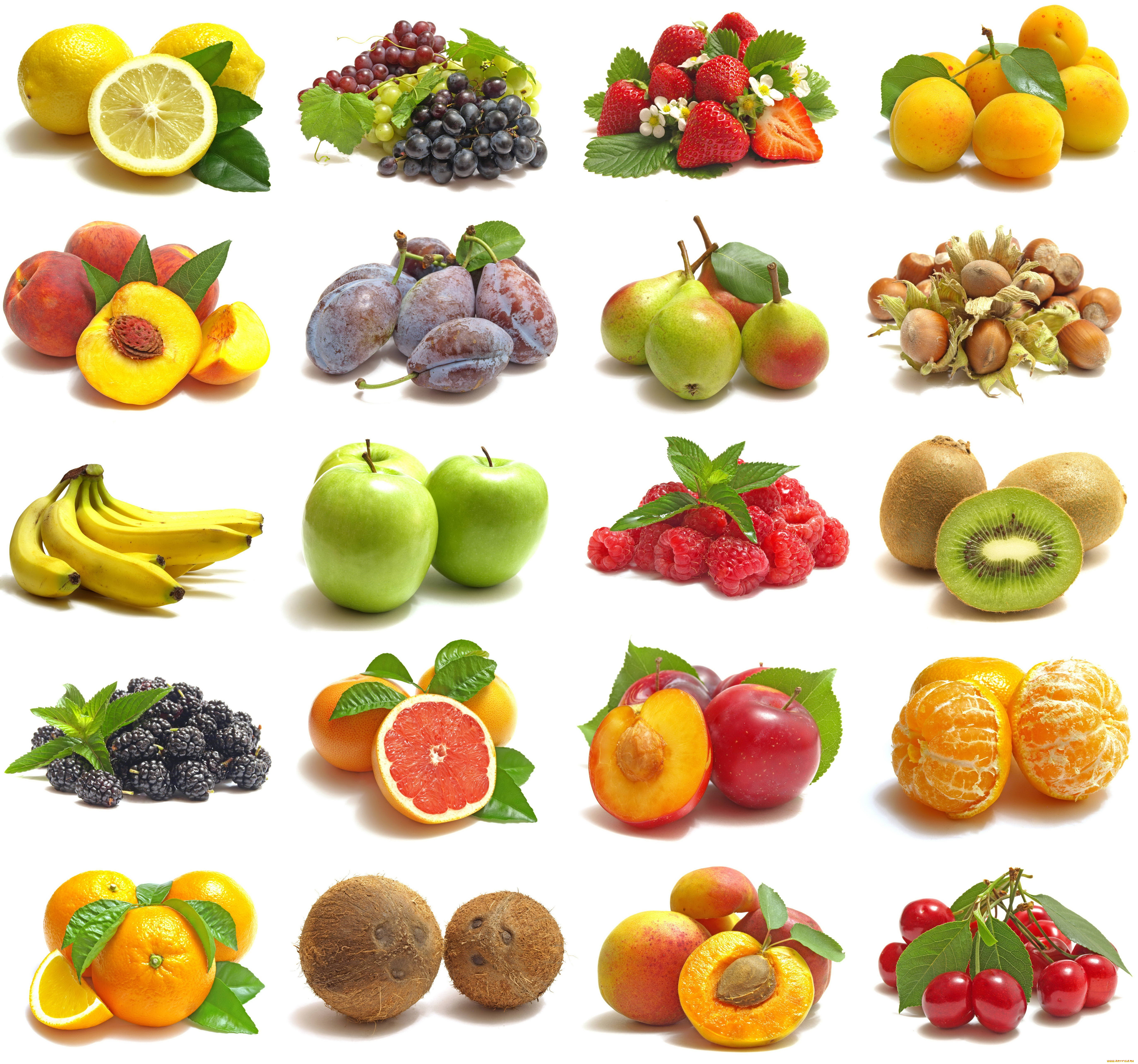 еда, разное, орехи, разрез, продукты, белый, фон, фрукты, ягоды, коллаж, бананы, яблоки, малина, персики, слива, груши, киви, апельсины, клубника, виноград, лимон