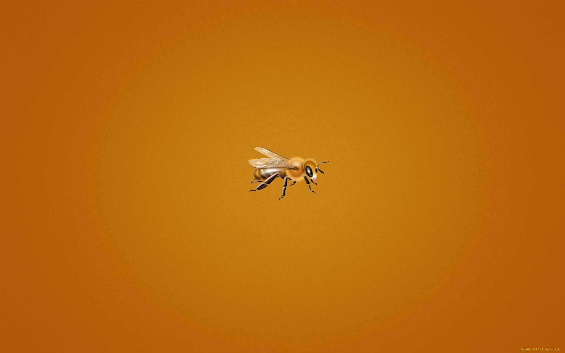 рисованные, минимализм, bee, пчелка, мелкая, оранжевый, фон