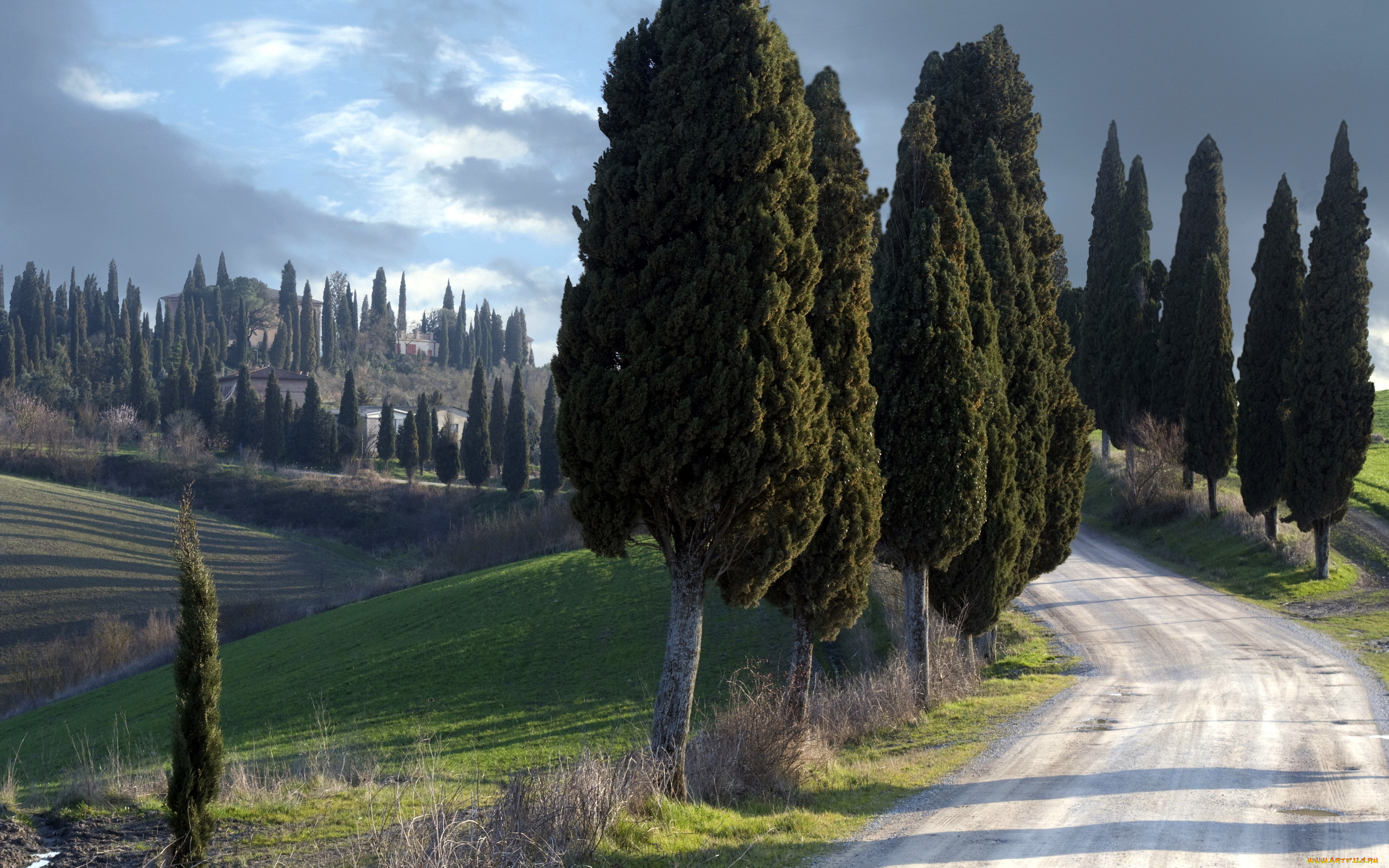 природа, дороги, silent, guardians, пейзаж, italy, tuscany