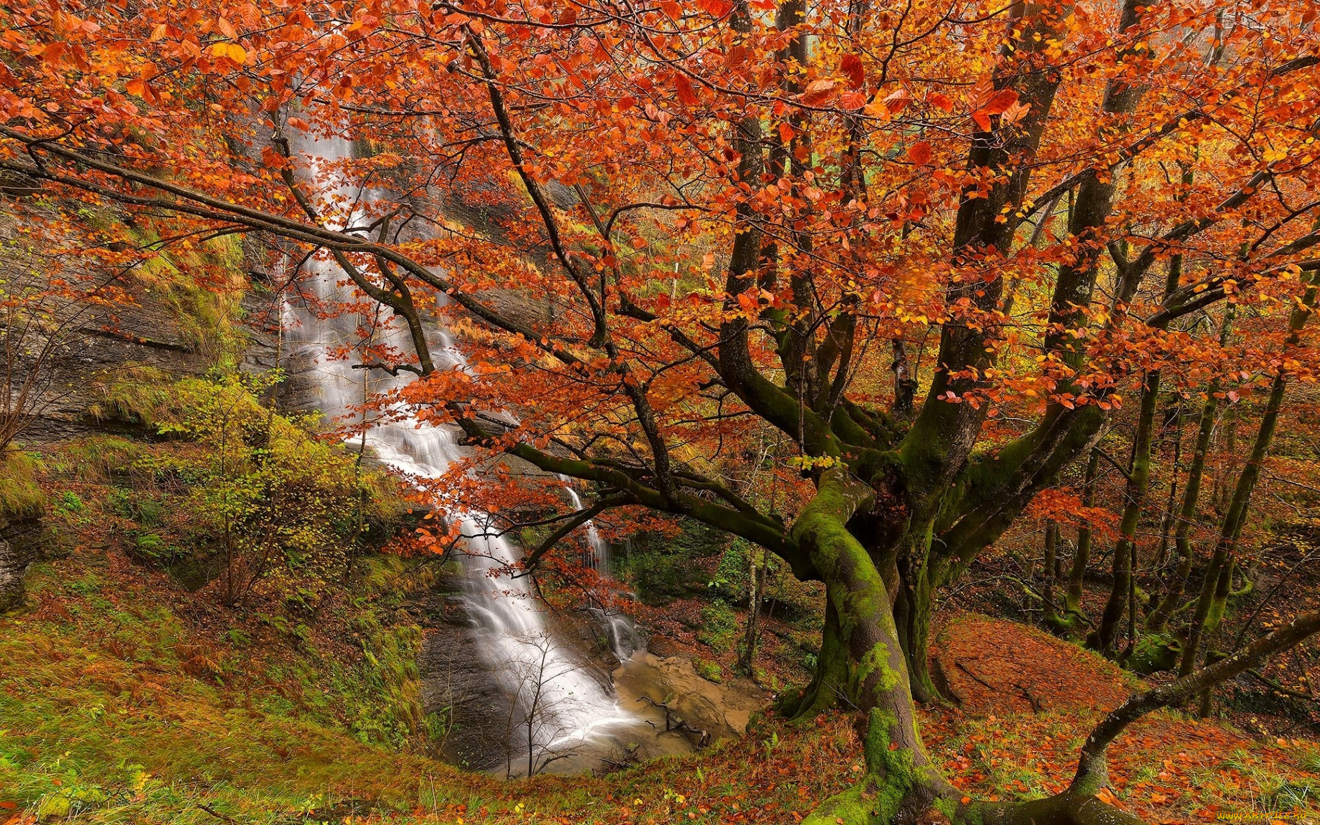 природа, водопады, скала, осень, лес, поток