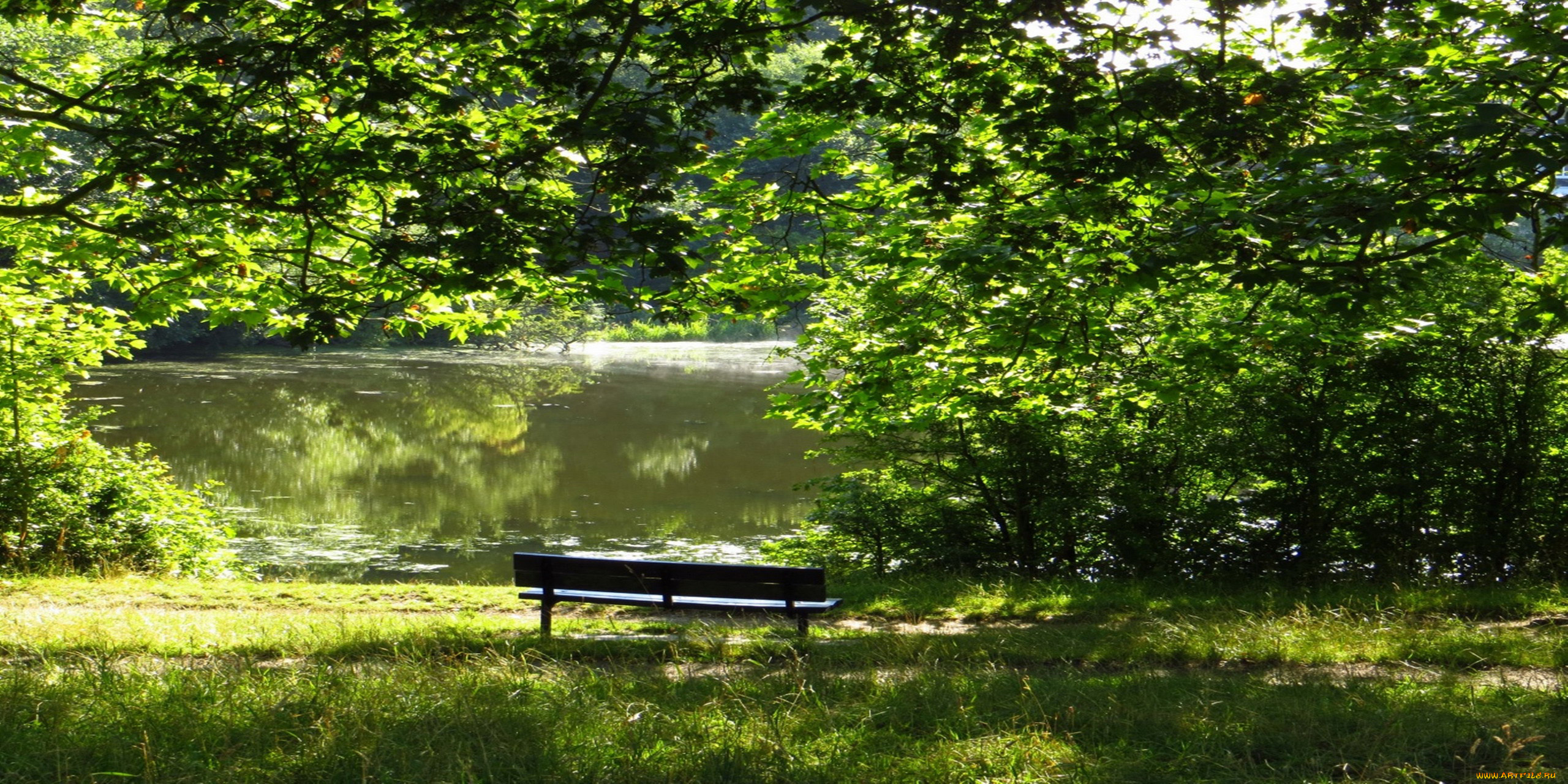 природа, парк, пруд, скамейка, деревья, лето, покой