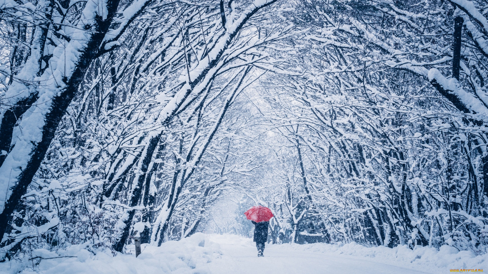 природа, парк, зонт, человек, снег, зима, прогулка