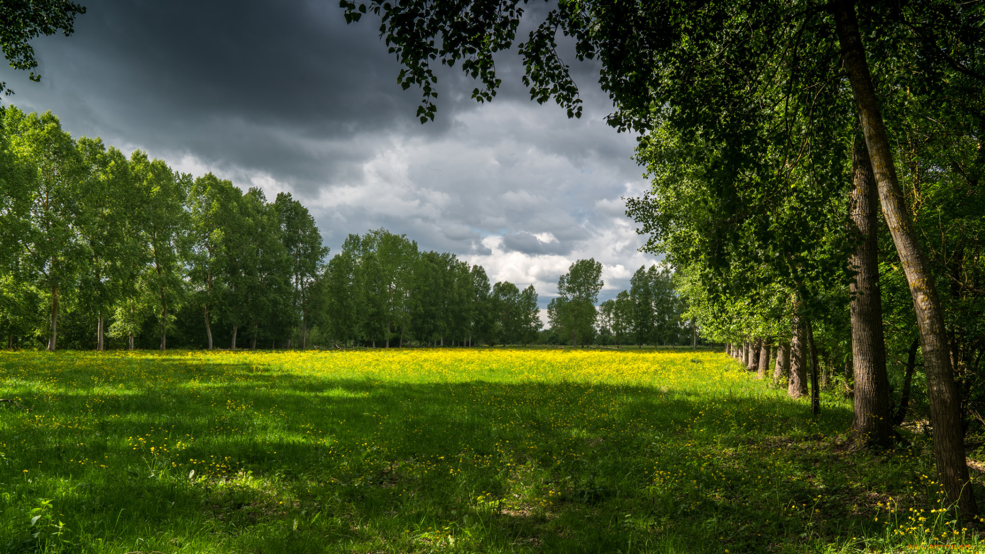 природа, пейзажи, простор