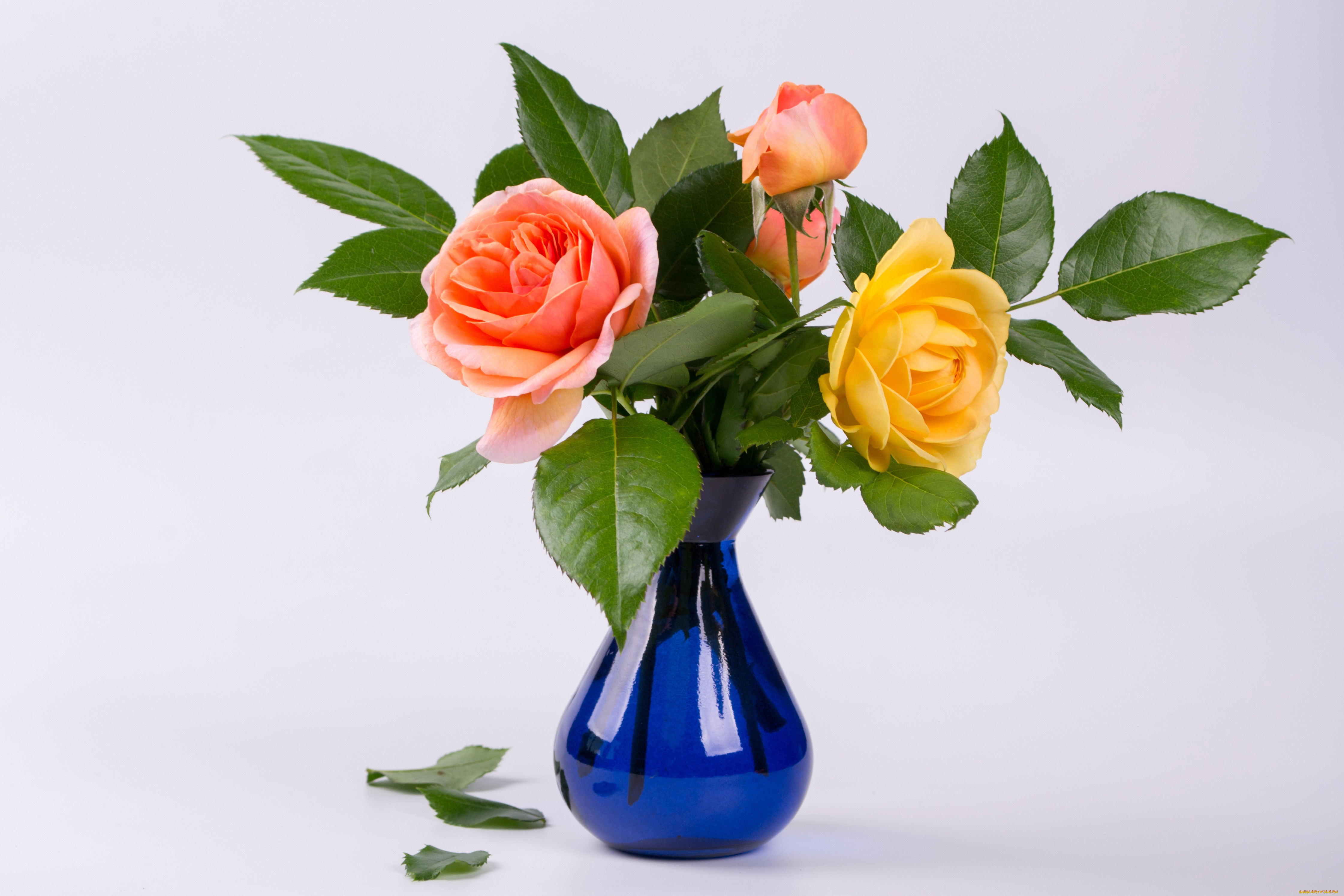 цветы, розы, ваза, букет