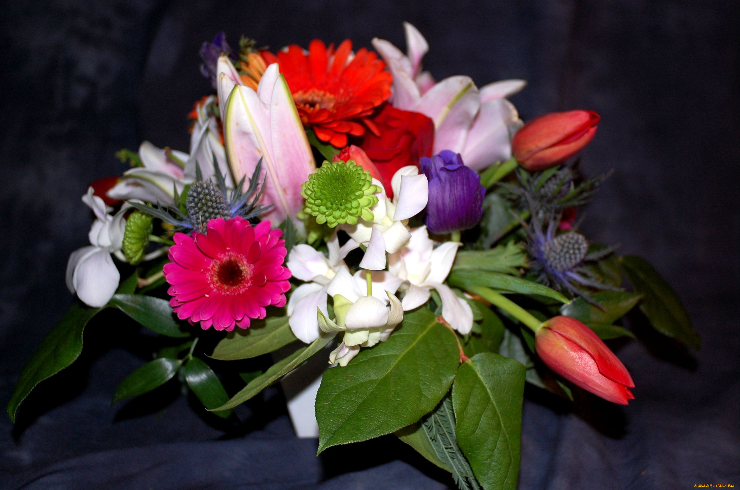 цветы, букеты, композиции, герберы, тюльпаны, лилии, эустома, хризантема