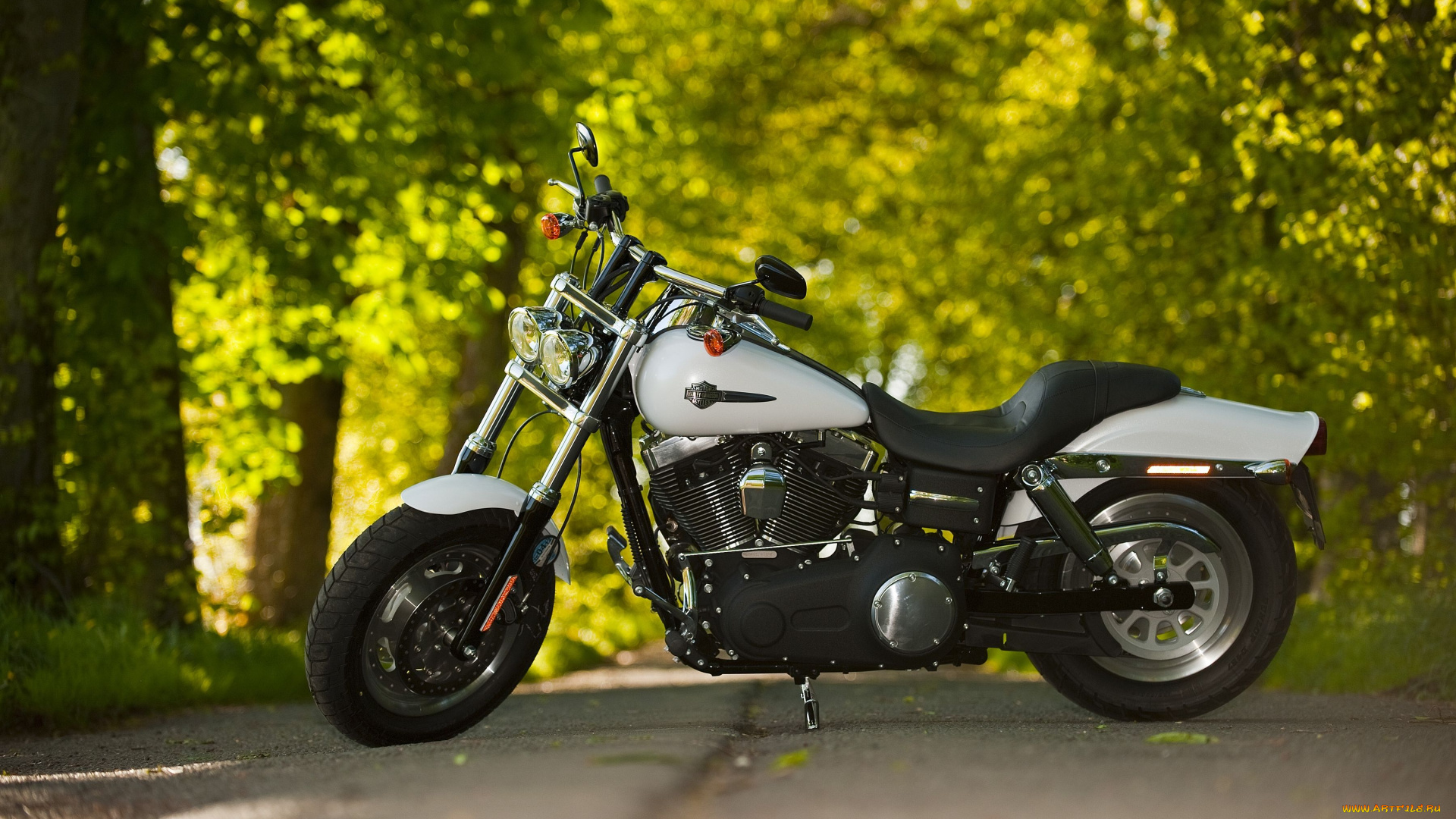 harley, davidson, fat, bob, мотоциклы, harley-davidson