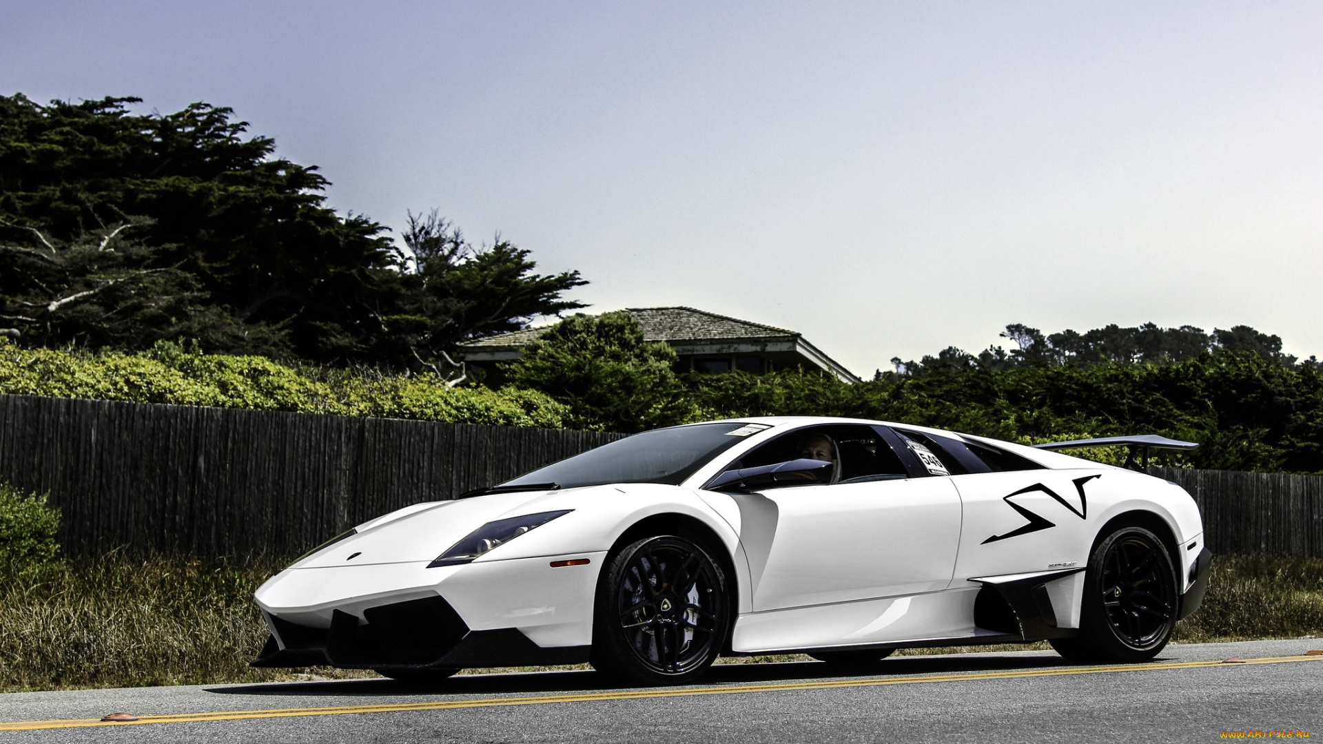 lamborghini, murcielago, автомобили, италия, спортивные, automobili, s, p, a