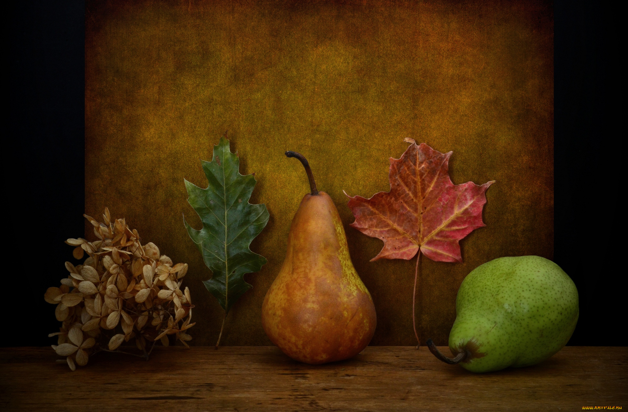 еда, груши, плоды, листья, композиция