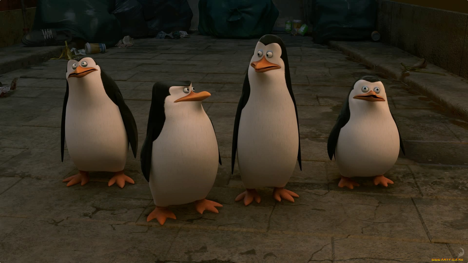 мультфильмы, the, penguins, of, madagascar, пингвины
