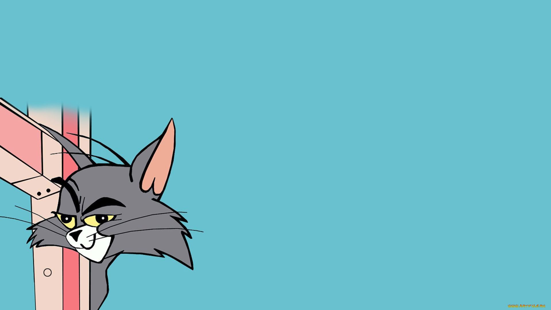 мультфильмы, tom, and, jerry, фон, кот