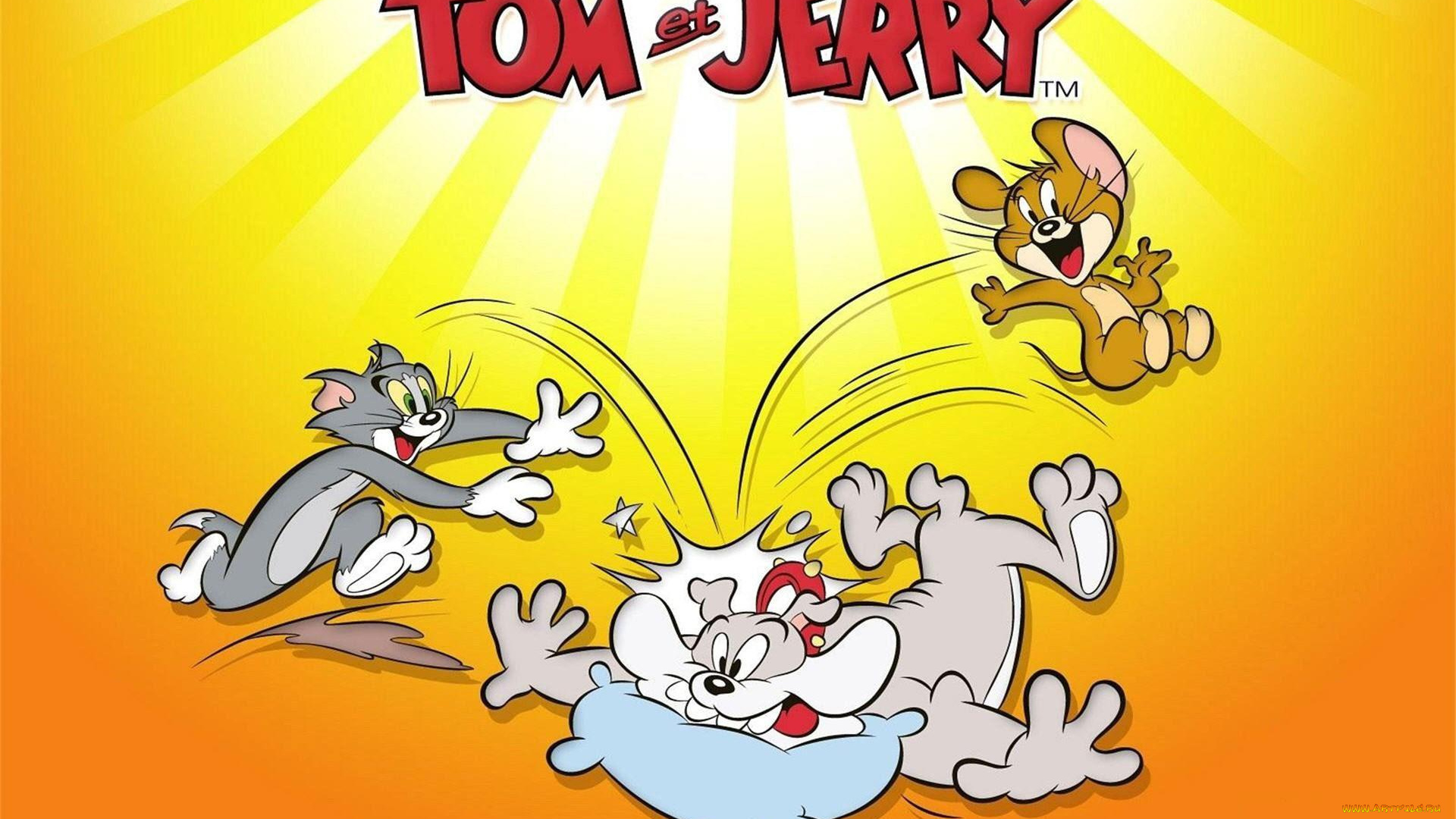 мультфильмы, tom, and, jerry, кот, фон, мышка, собака