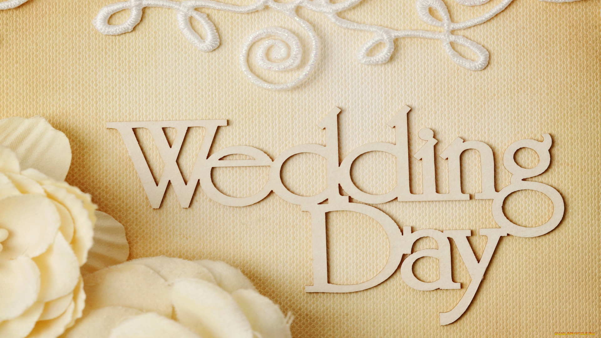 праздничные, другое, lace, цветы, ring, свадьба, flowers, background, soft, day, wedding