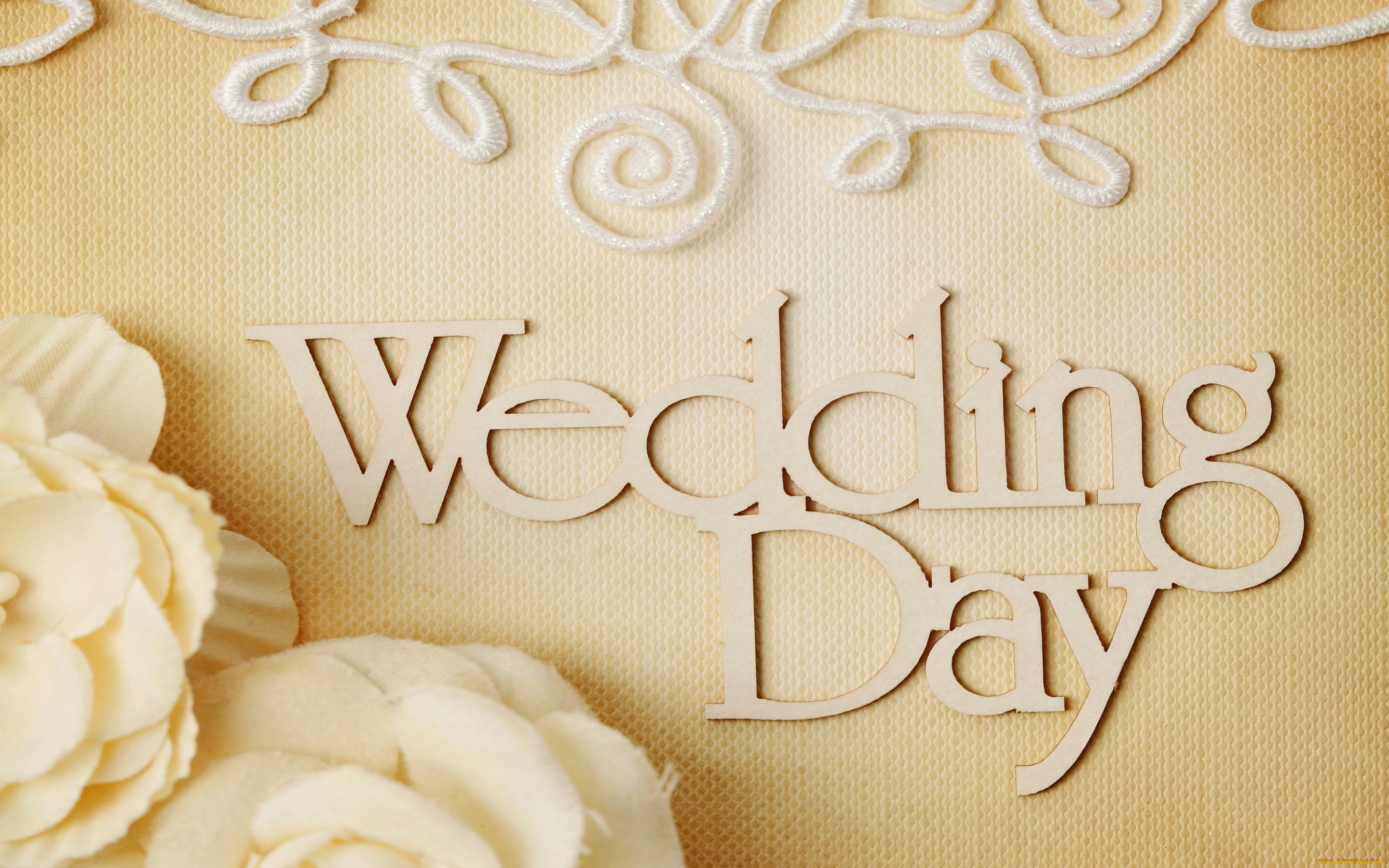 праздничные, другое, lace, цветы, ring, свадьба, flowers, background, soft, day, wedding
