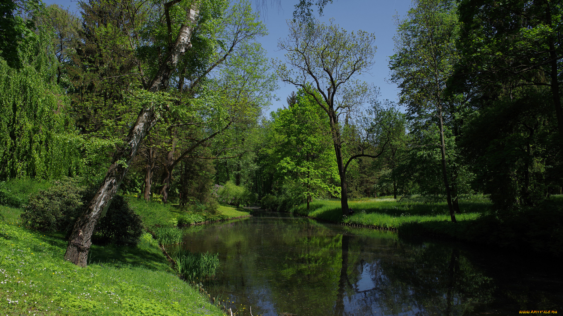 природа, реки, озера, река, лес