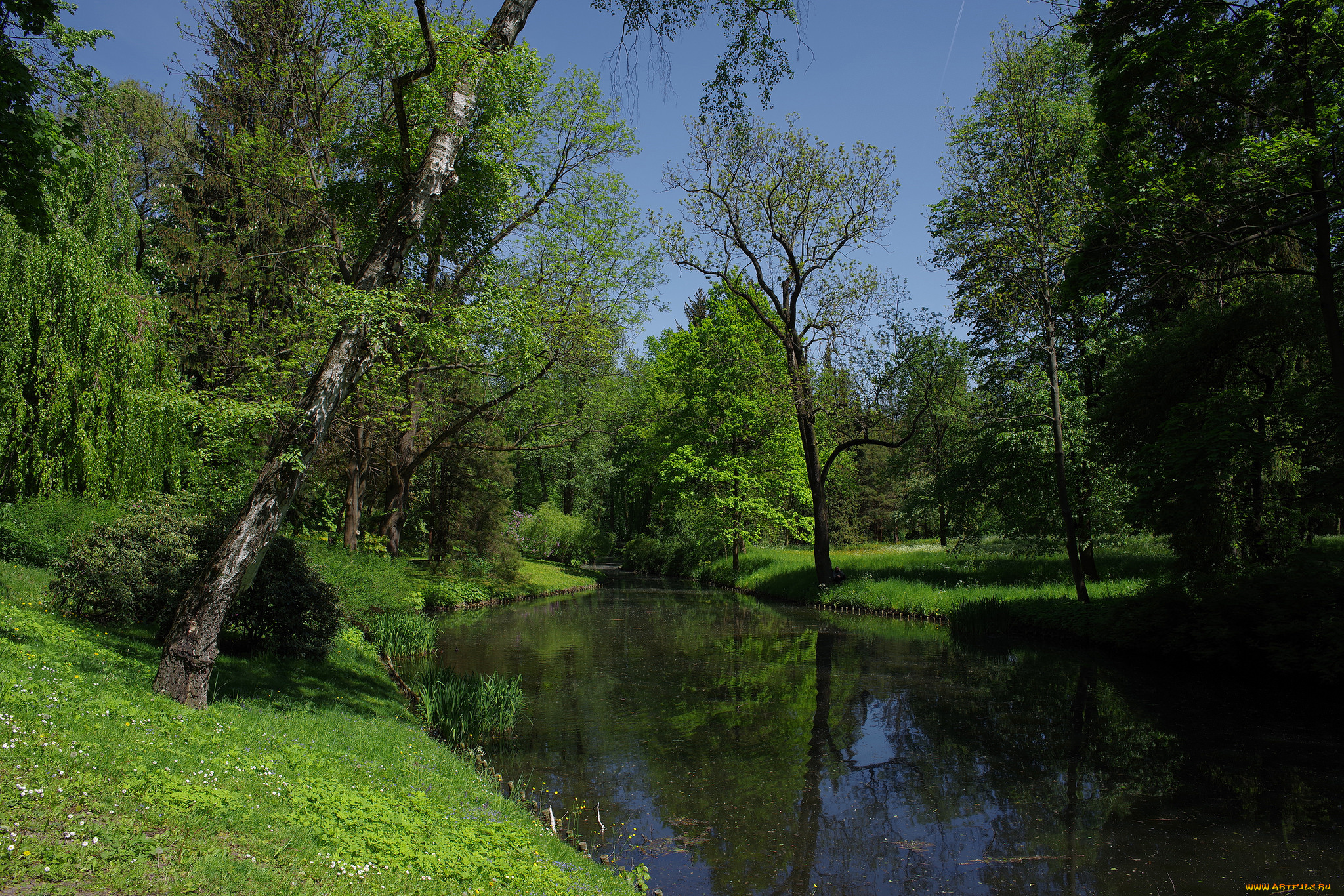 природа, реки, озера, река, лес