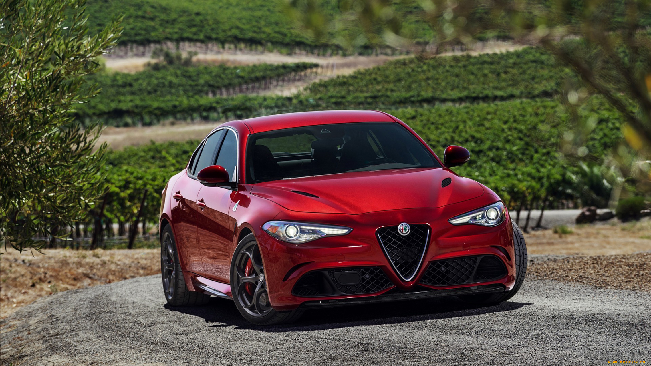 alfa, romeo, giulia, quadrifoglio, 2017, автомобили, alfa, romeo, 2017, quadrifoglio, giulia, alfa, romeo