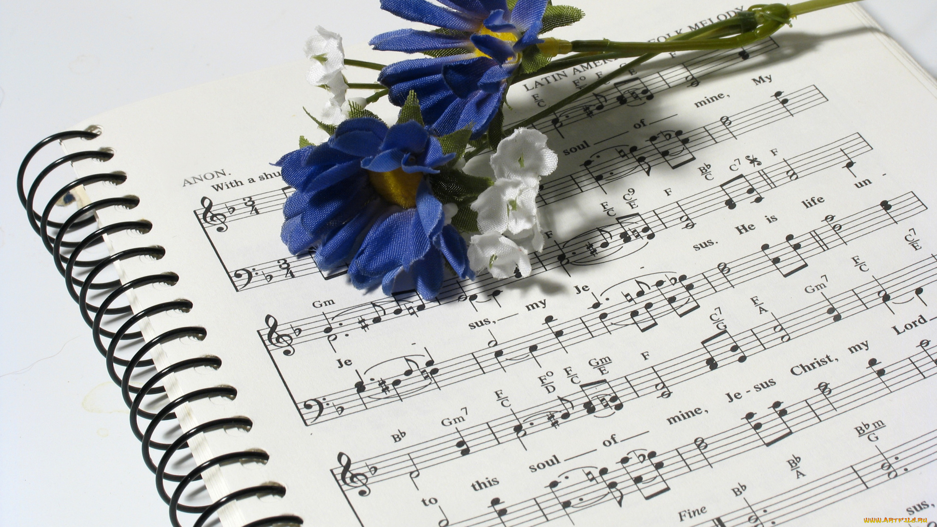 музыка, -другое, ноты, цветок