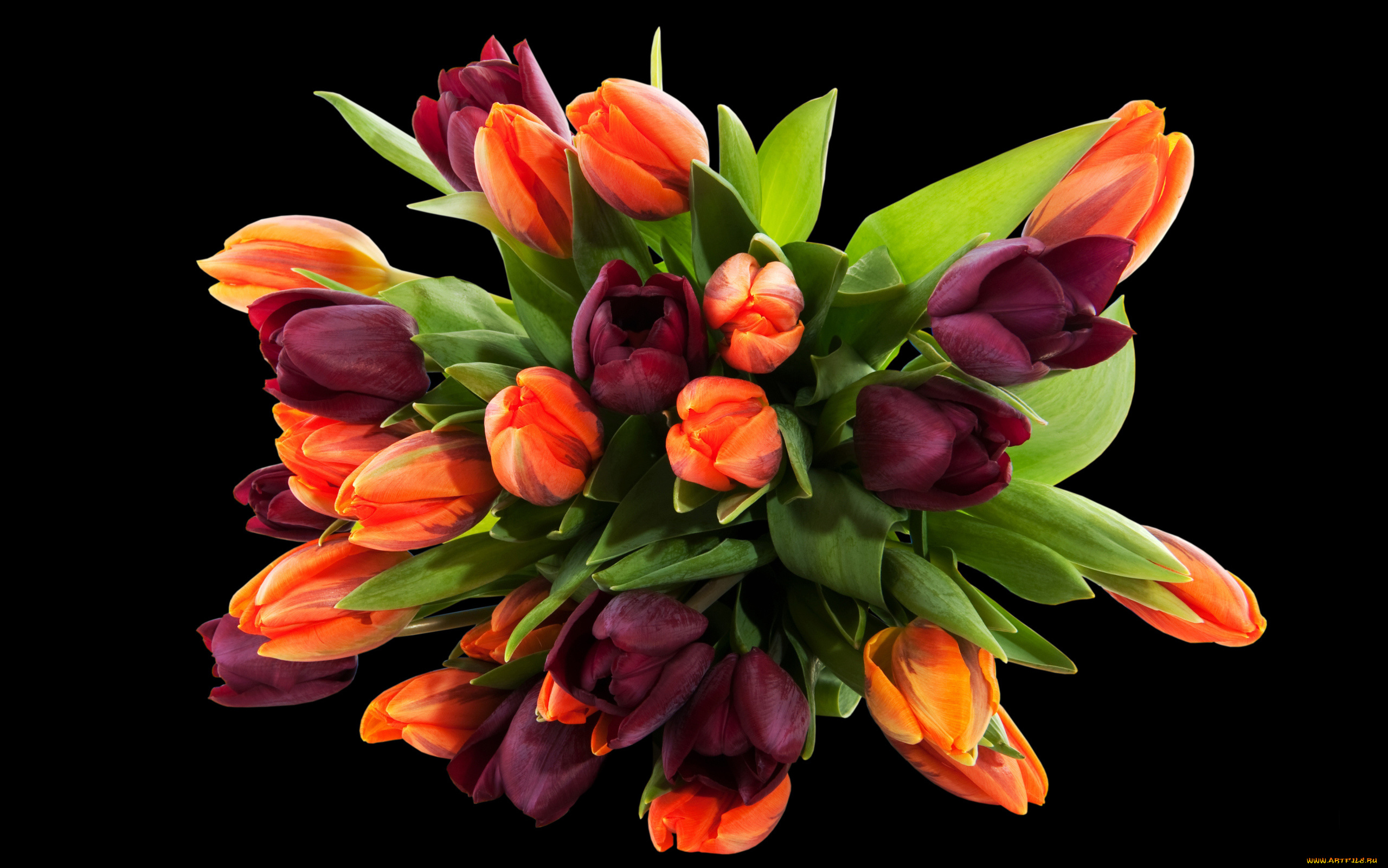 цветы, букеты, , композиции, тюльпаны