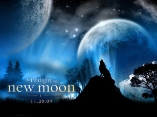 Картинка кино фильмы the twilight saga new moon