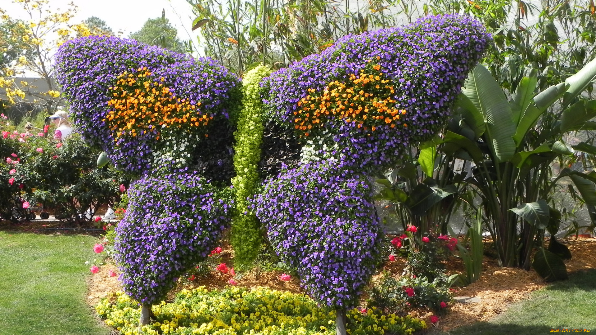 epcot, international, flower, and, garden, festival, природа, парк, цветы, композиции