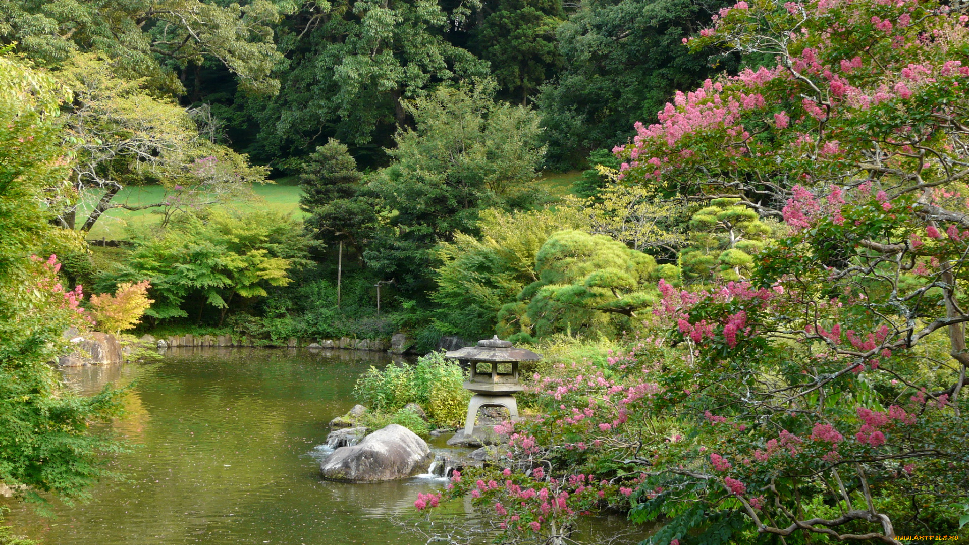 Япония, нарита, природа, парк, водоем, растения