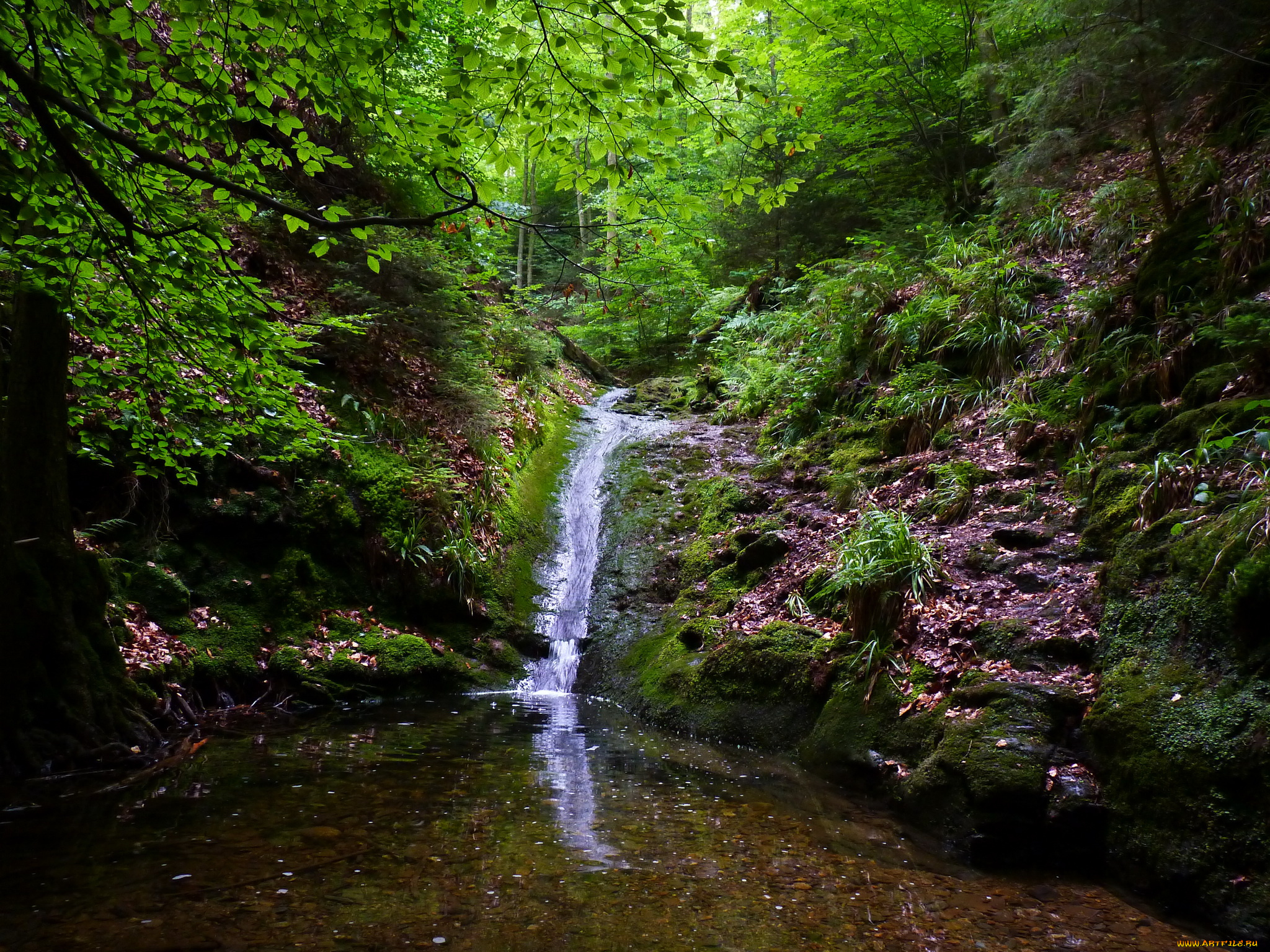 бельгия, эвей, природа, водопады, река, лес, водопад