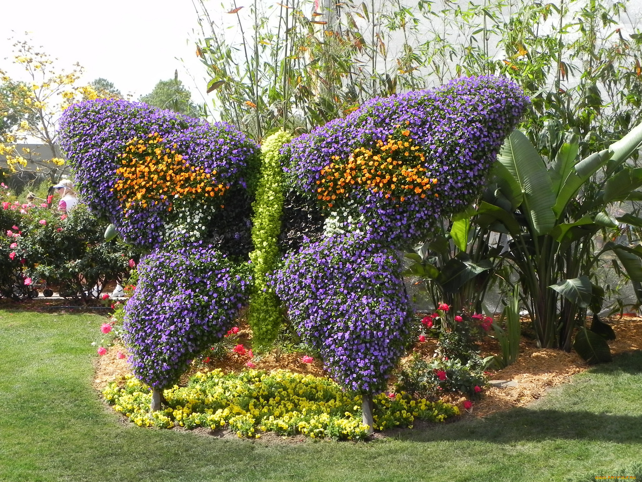 epcot, international, flower, and, garden, festival, природа, парк, цветы, композиции