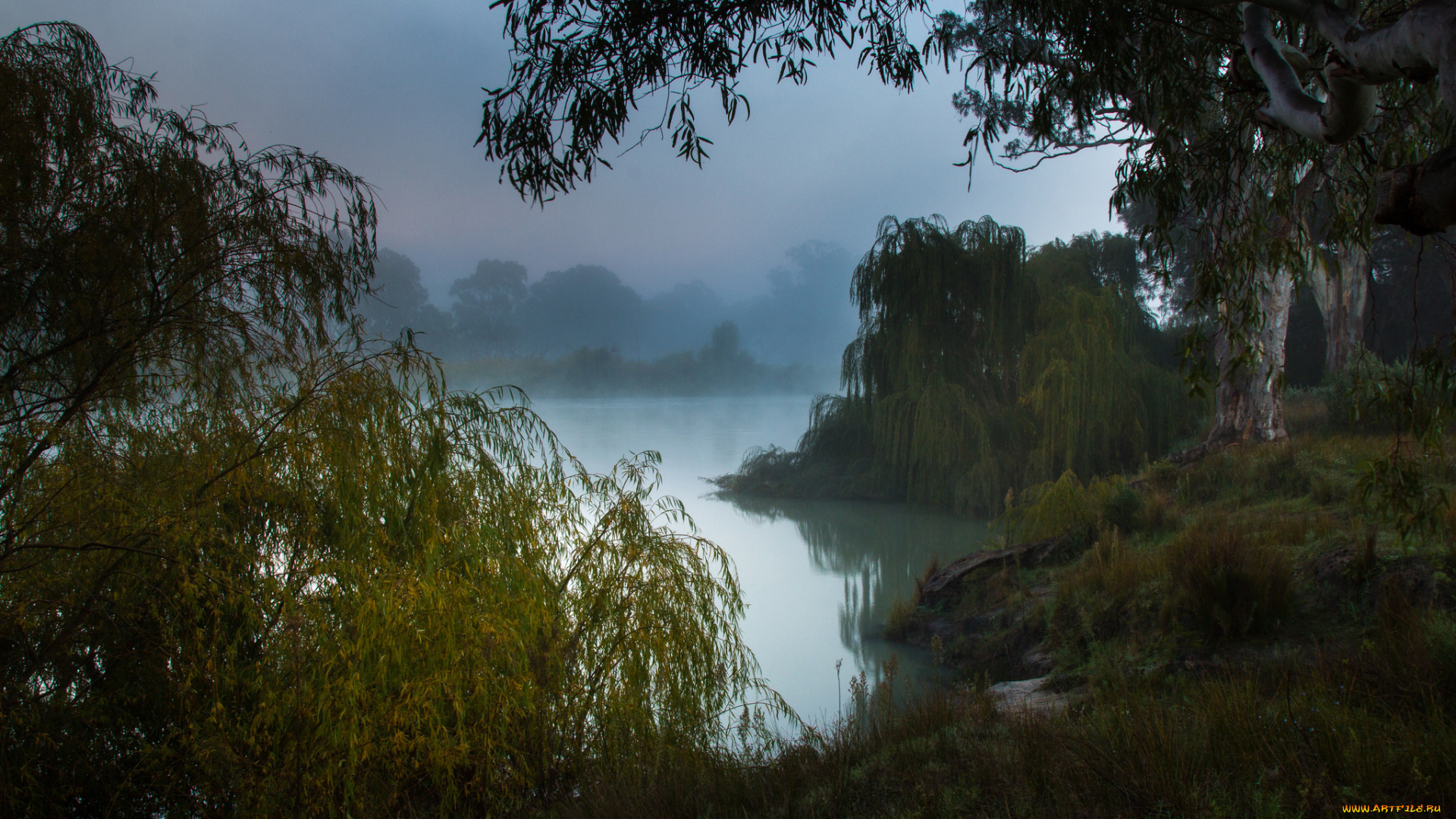 природа, реки, озера, туманное, утро