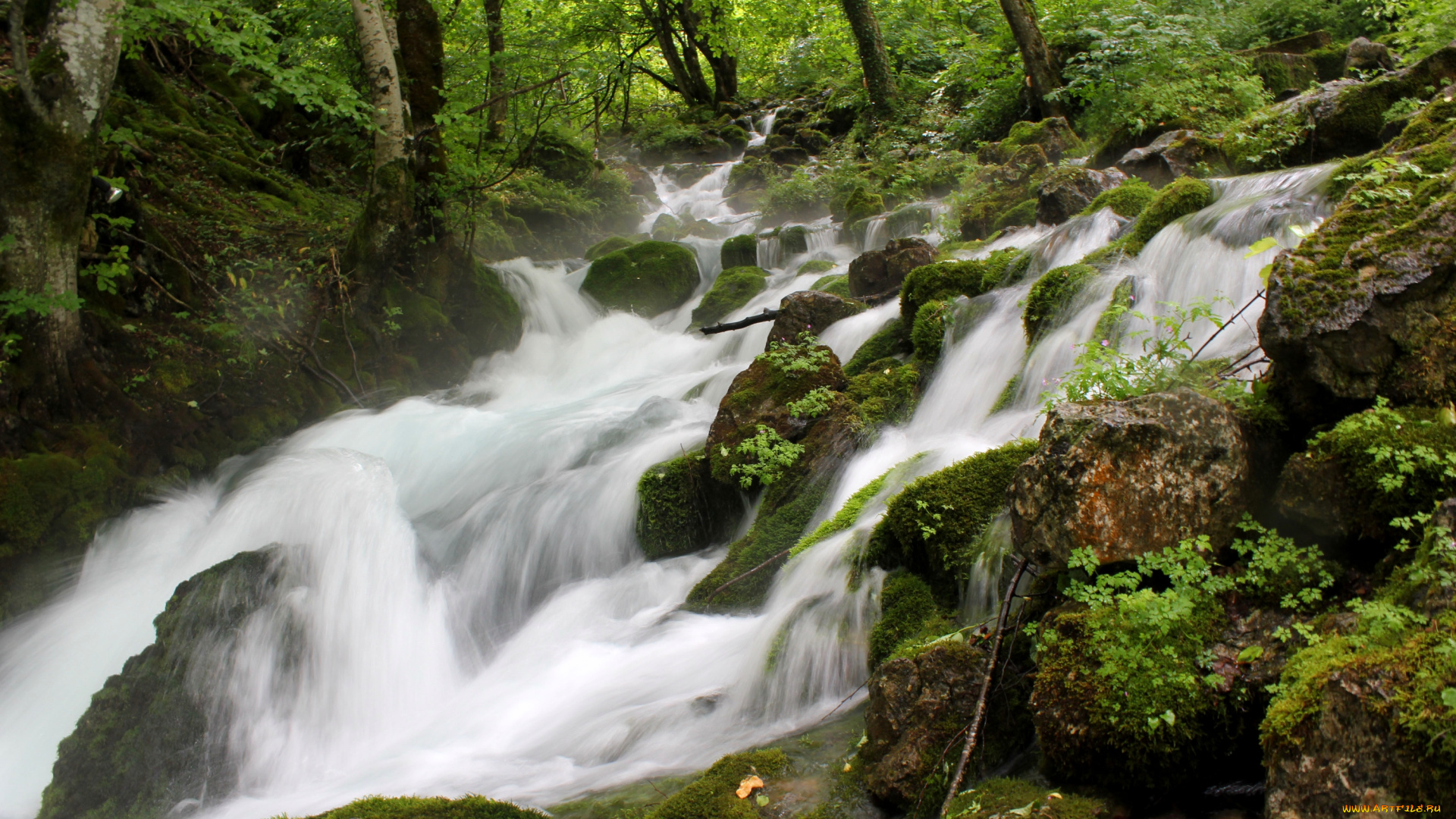 природа, реки, озера, вода