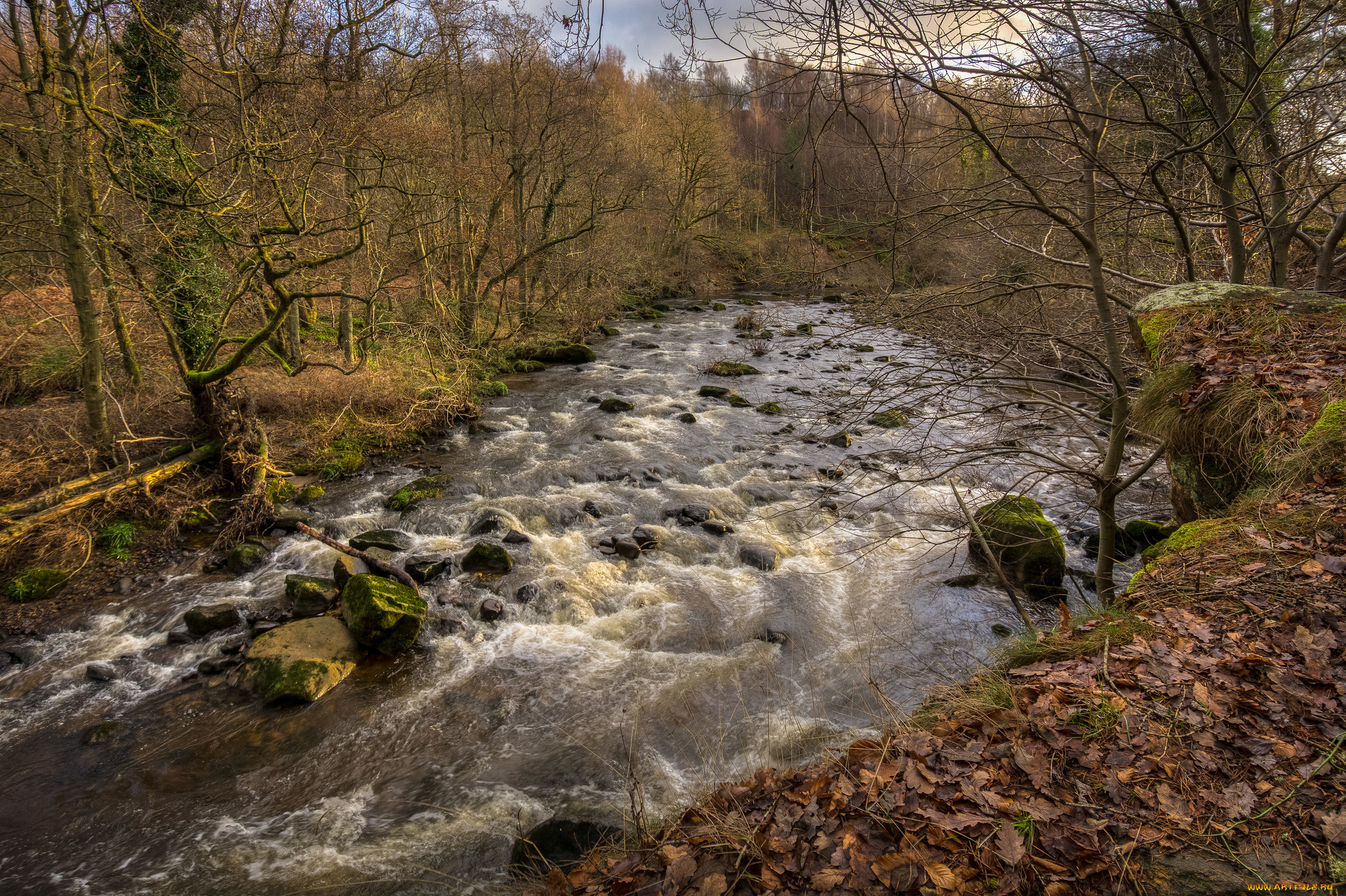 природа, реки, озера, пороги, река, лес