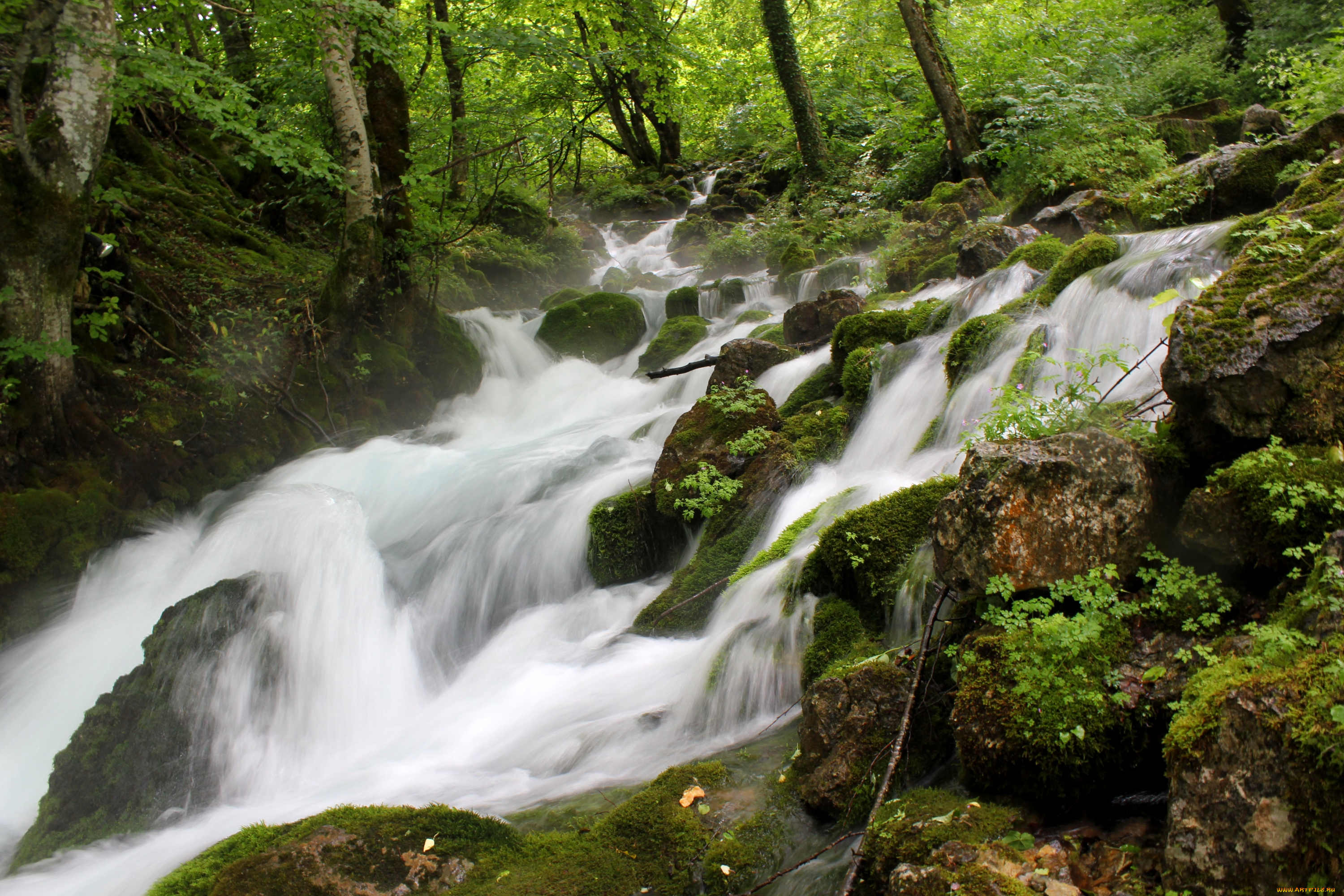 природа, реки, озера, вода