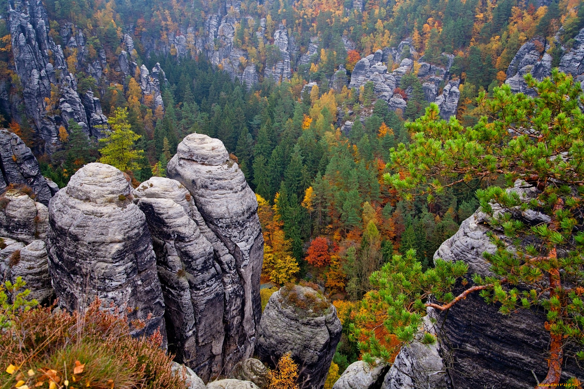 германия, природа, пейзажи, деревья, камни