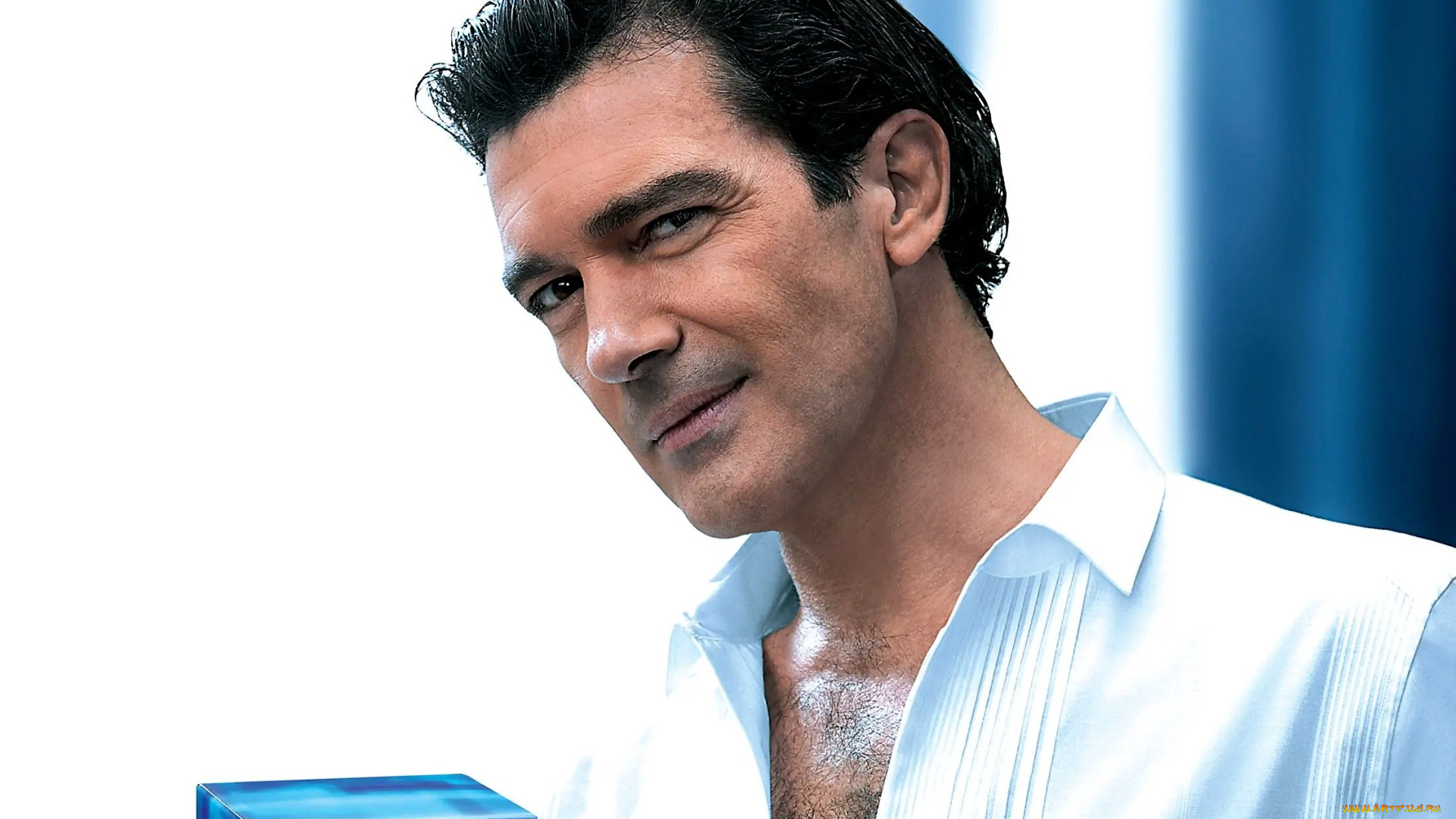 мужчины, antonio, banderas, актер, лицо, рубашка