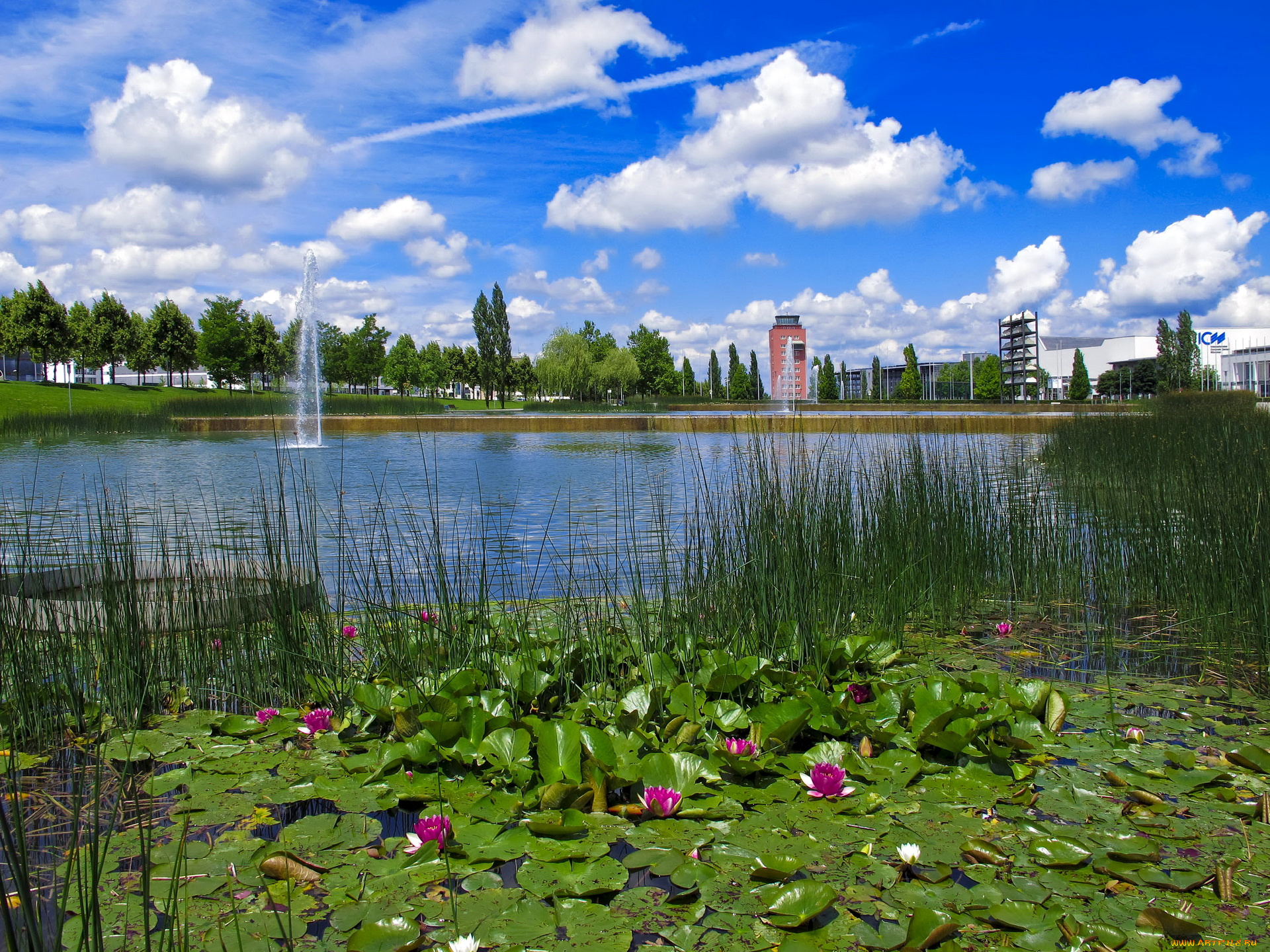 германия, мюнхен, парк, природа